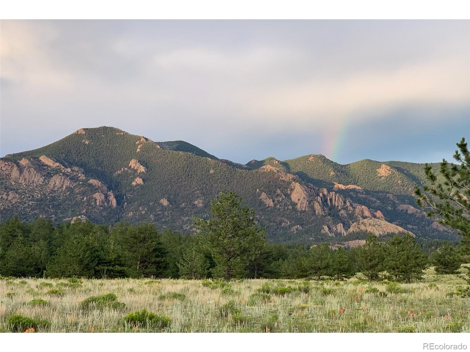 MLS Image #3 for 2550  webber park drive,lake george, Colorado