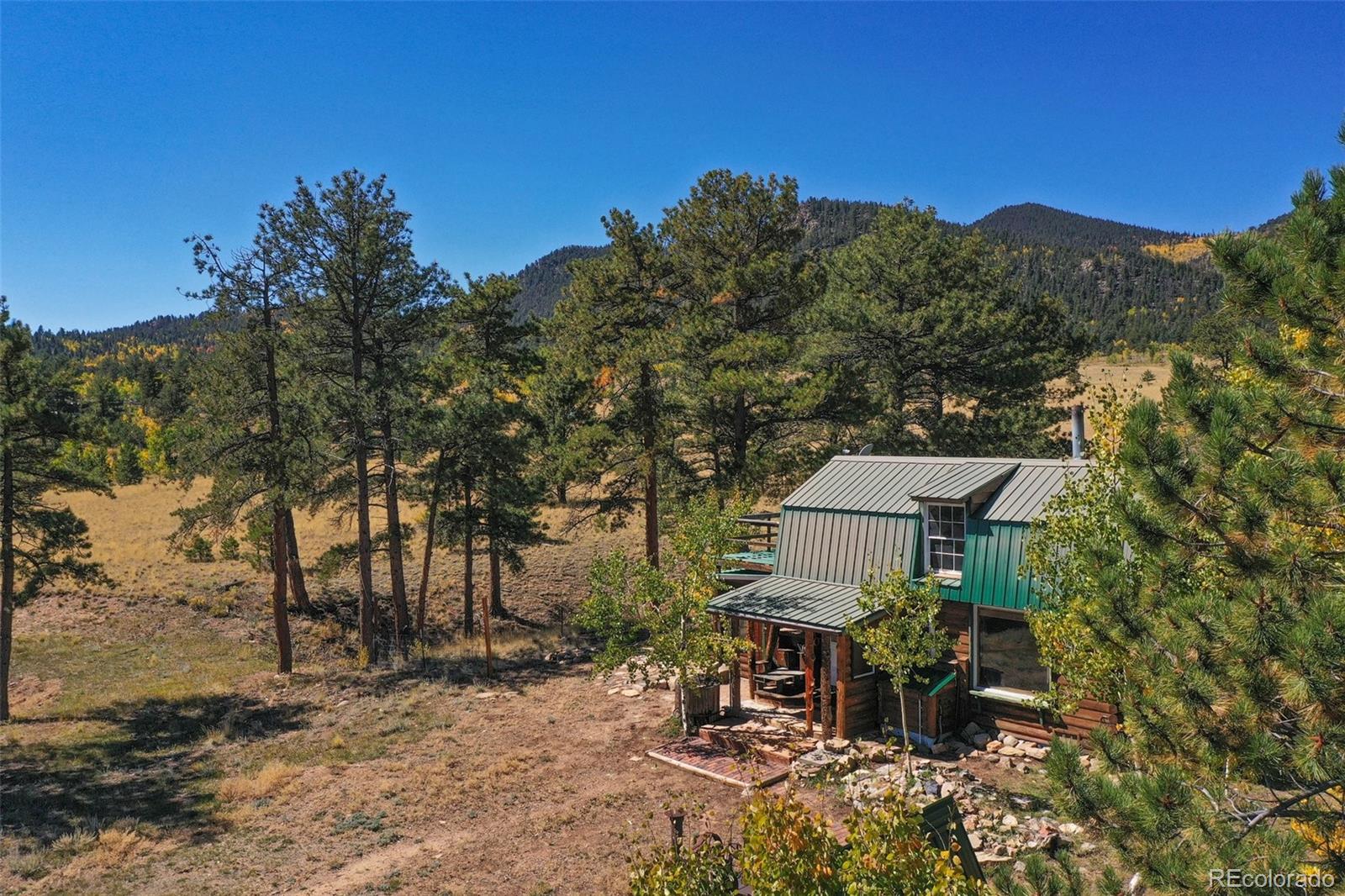 MLS Image #7 for 2550  webber park drive,lake george, Colorado