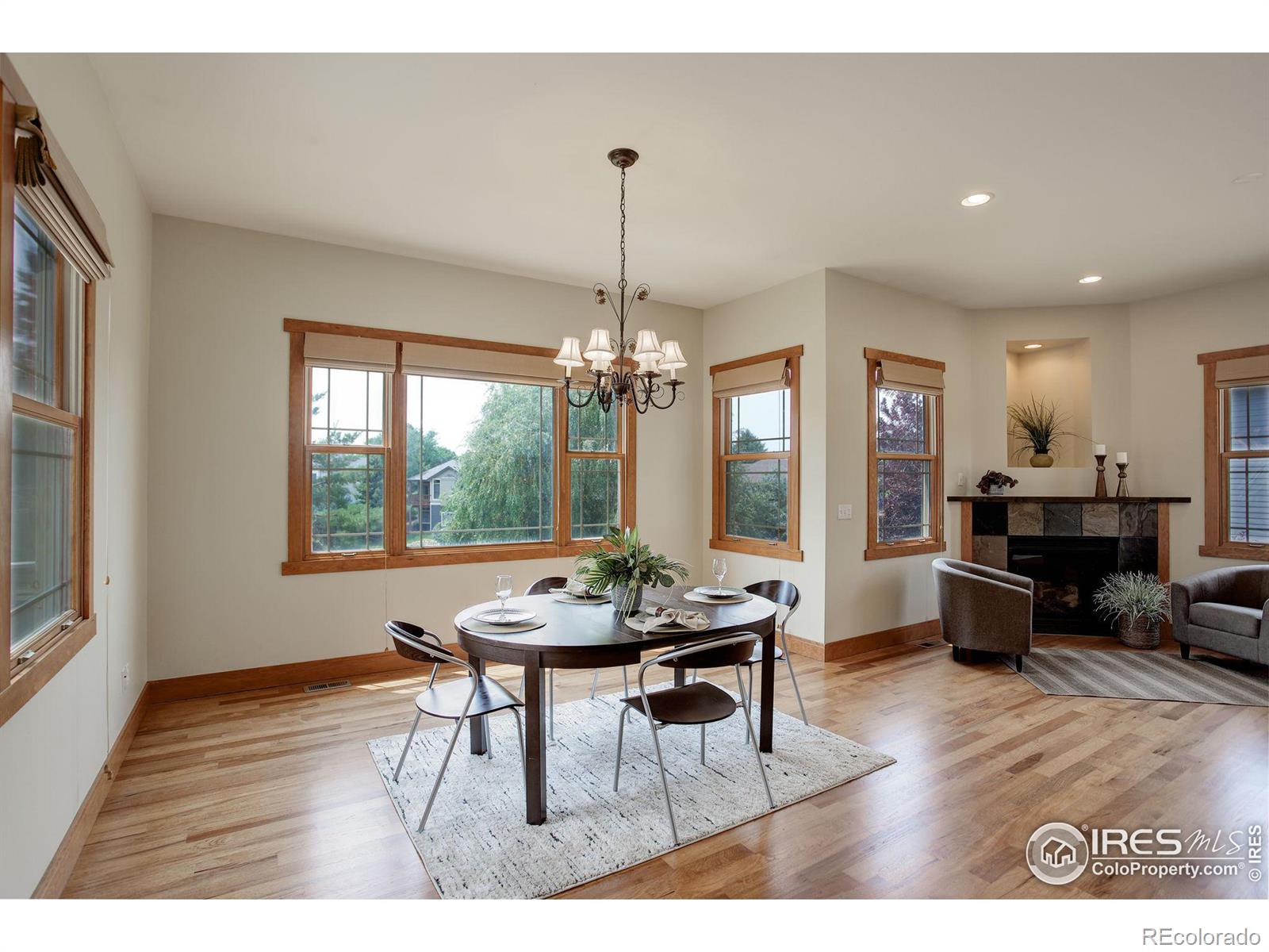 MLS Image #12 for 1190  trails end court,windsor, Colorado