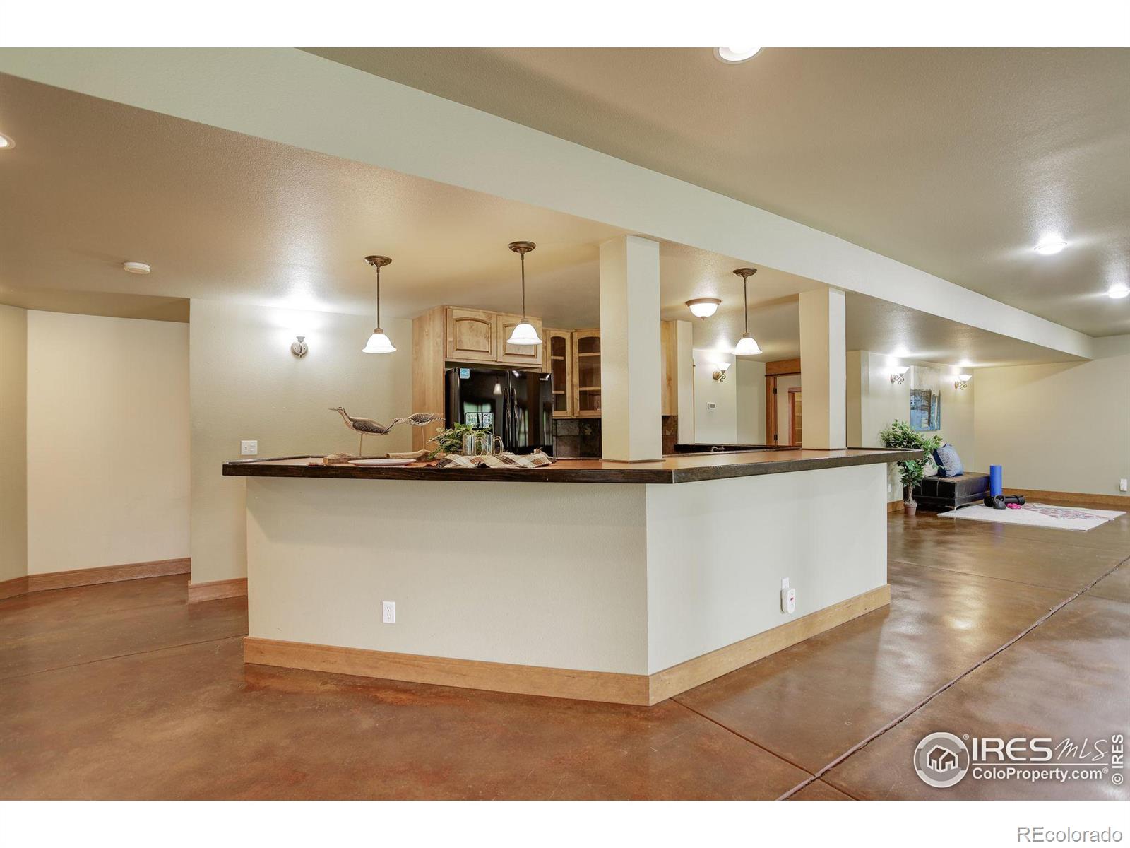 MLS Image #23 for 1190  trails end court,windsor, Colorado