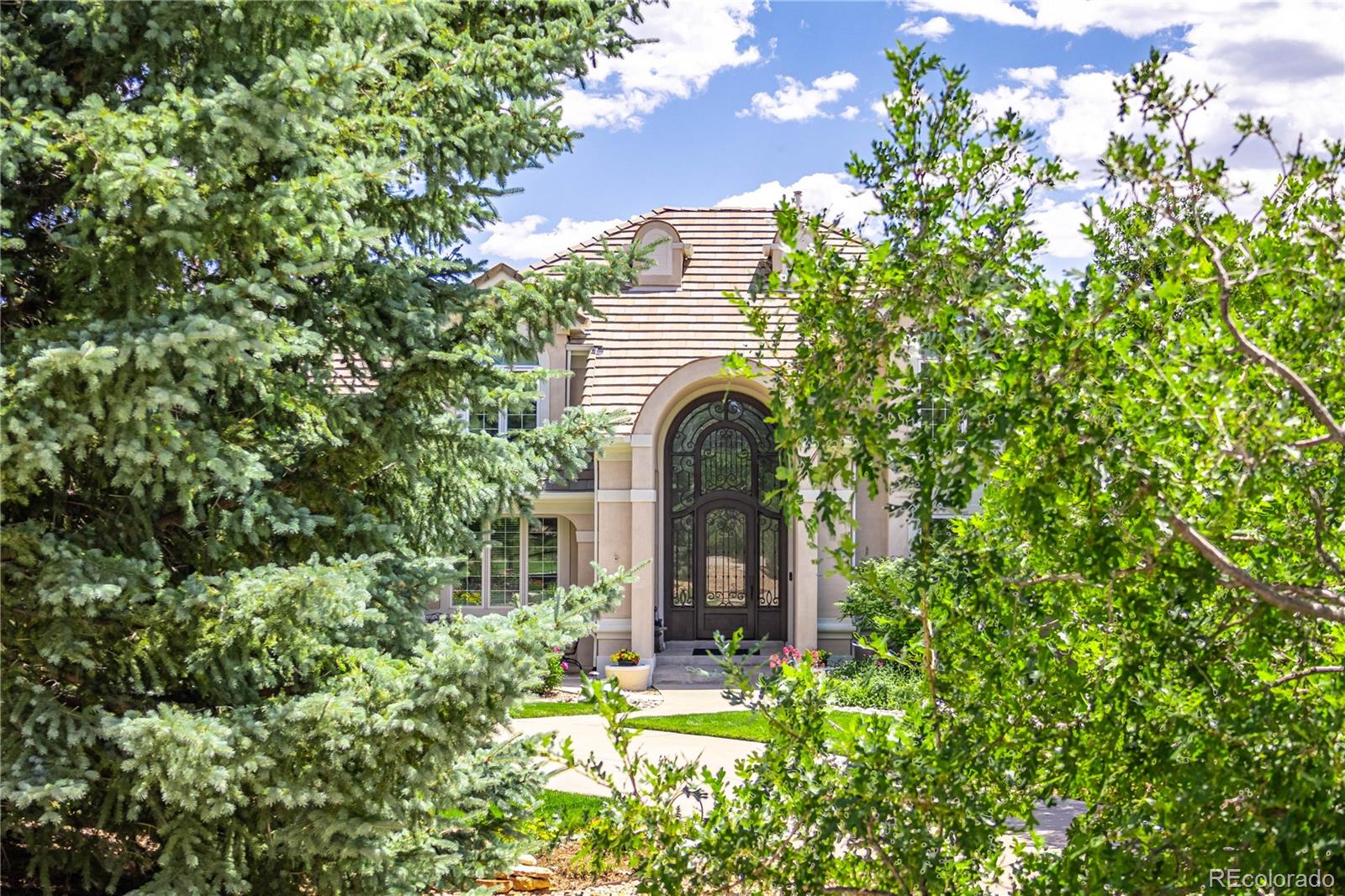 MLS Image #3 for 5480  sunstone lane,castle rock, Colorado