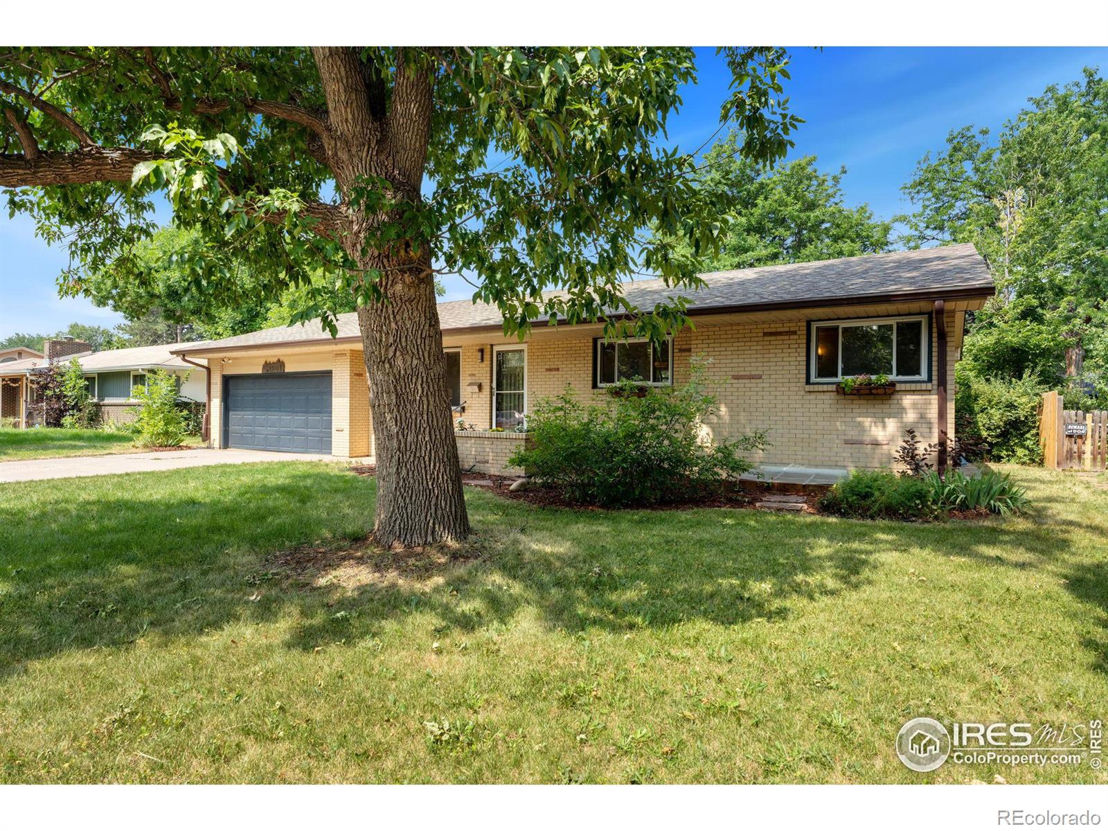 MLS Image #29 for 1309  robertson street,fort collins, Colorado