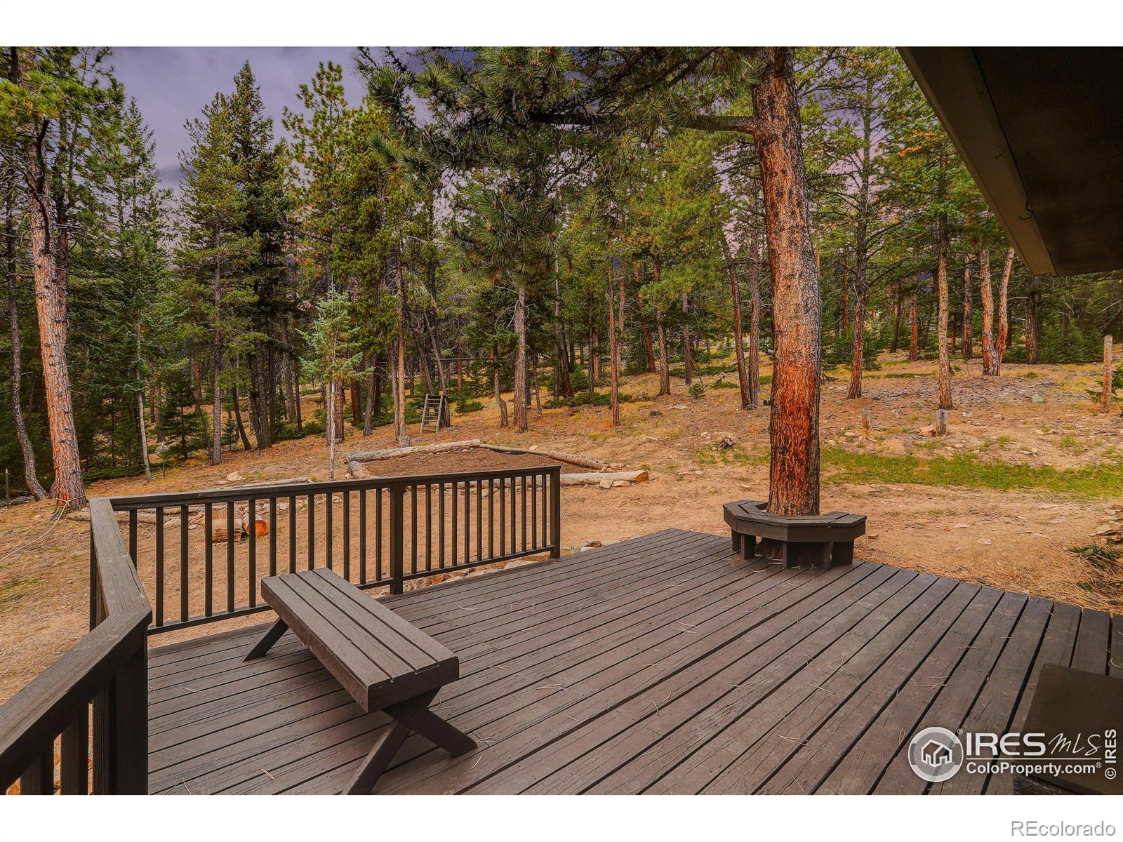 MLS Image #11 for 1287  pine glade road,nederland, Colorado