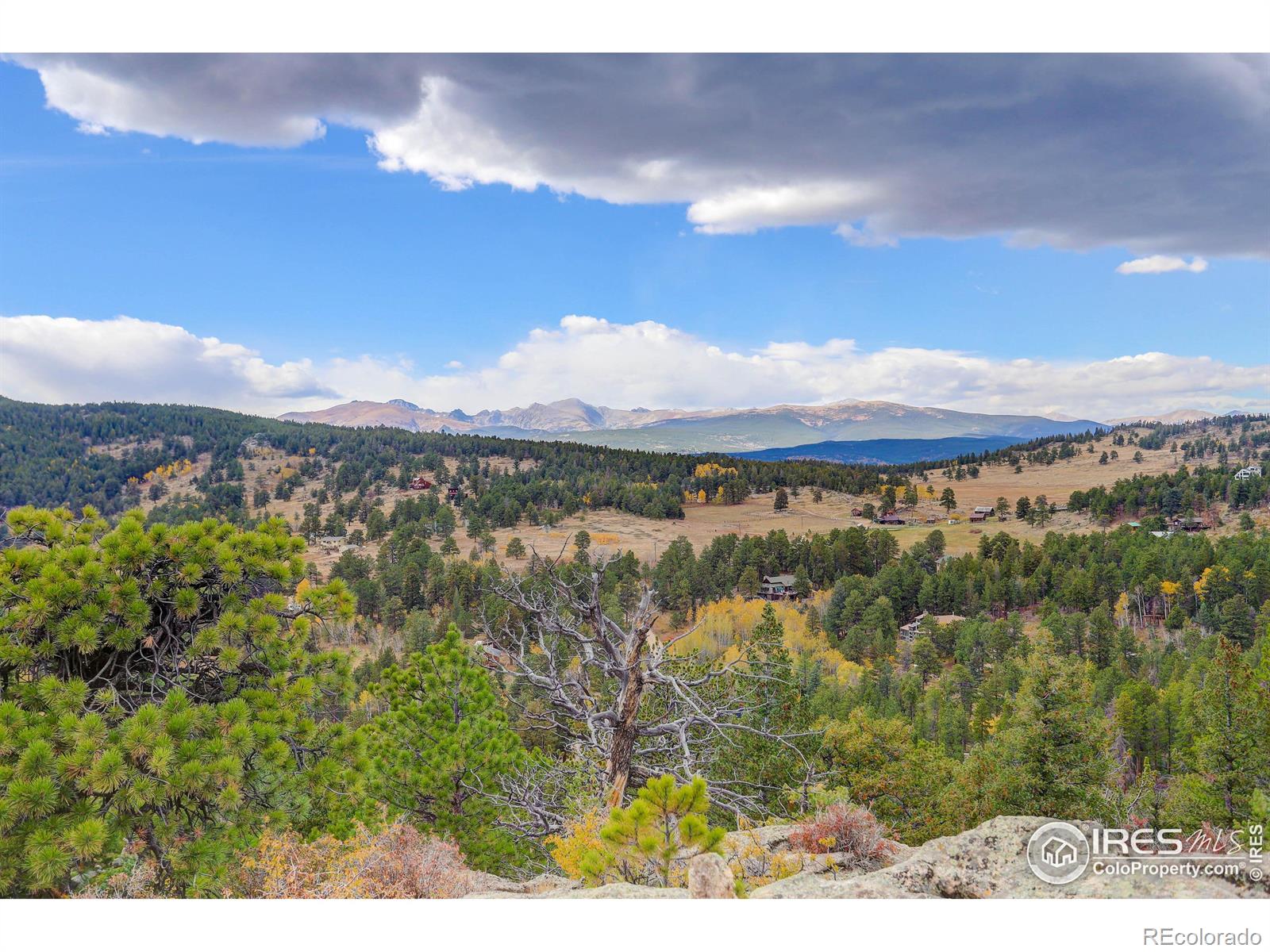 MLS Image #22 for 1287  pine glade road,nederland, Colorado