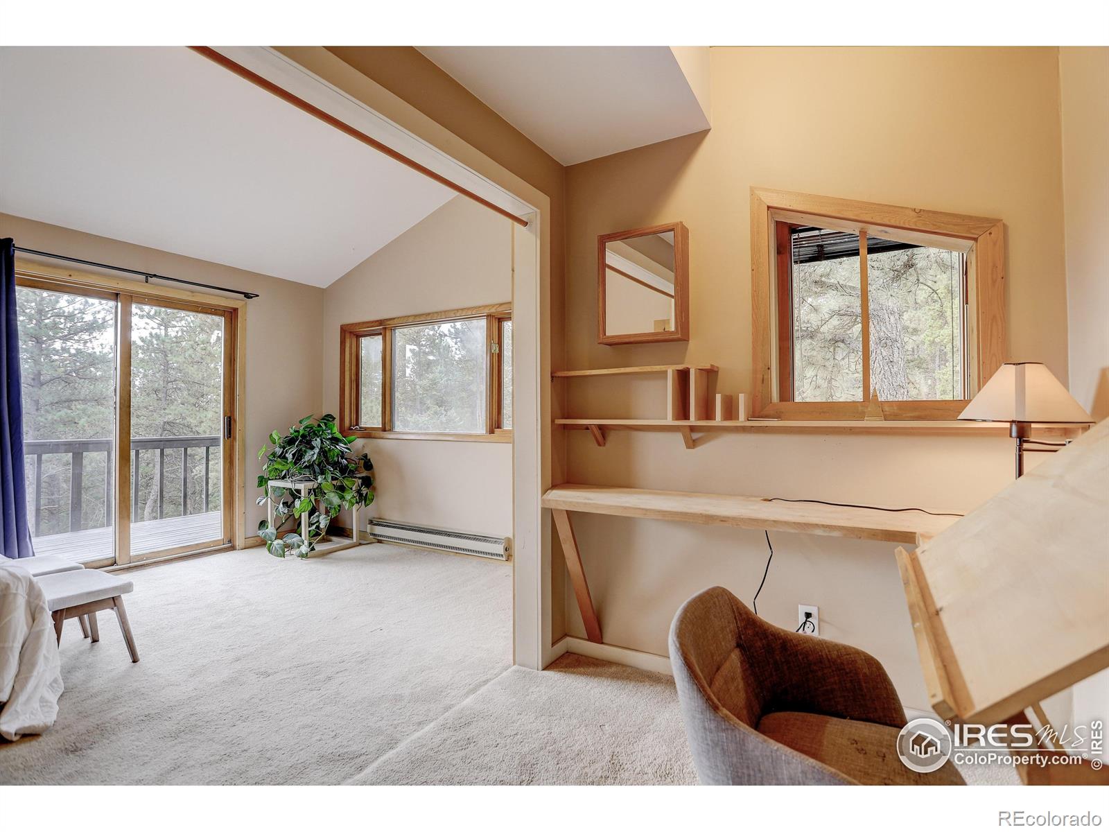 MLS Image #23 for 1287  pine glade road,nederland, Colorado