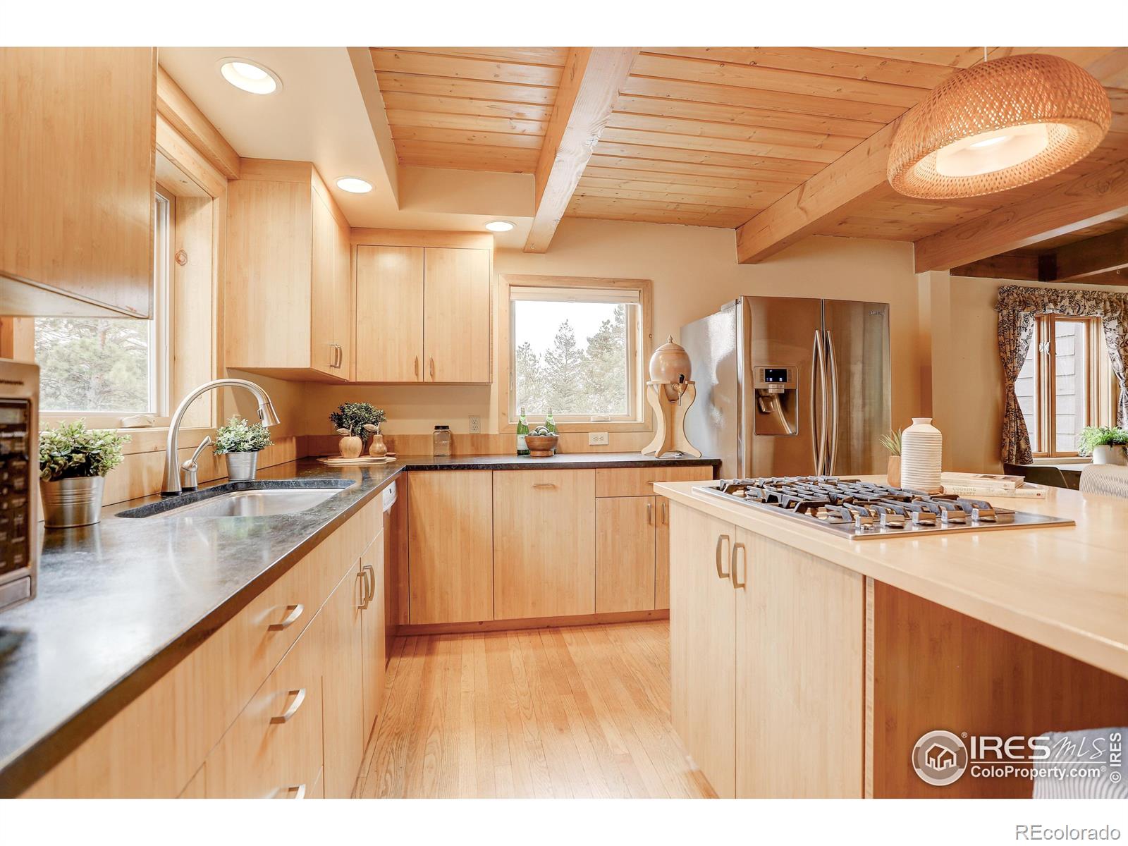 MLS Image #3 for 1287  pine glade road,nederland, Colorado