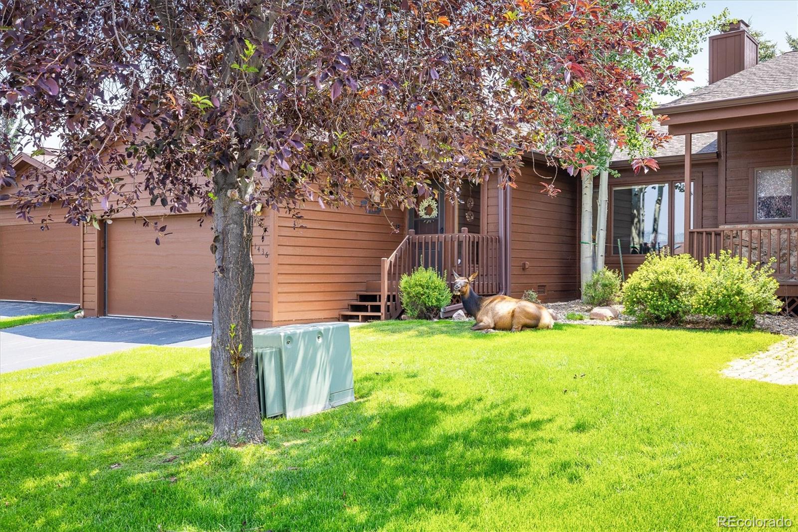 MLS Image #1 for 1436  matthew circle,estes park, Colorado