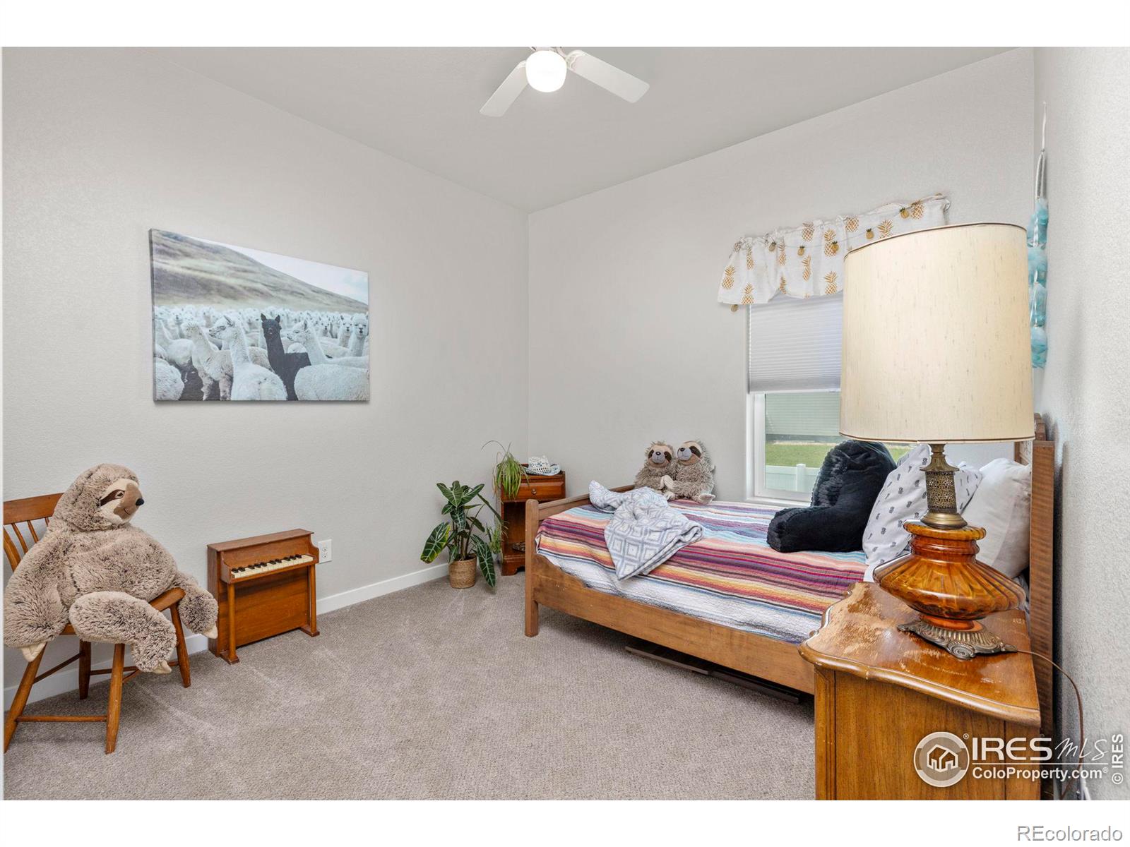 MLS Image #17 for 867  sunlight peak drive,severance, Colorado