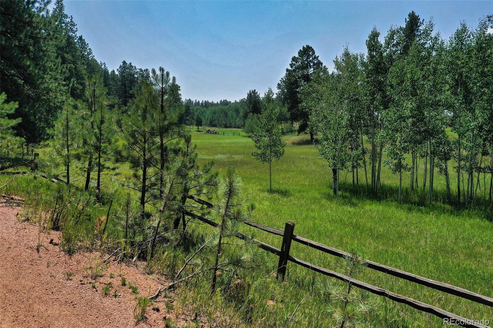 MLS Image #3 for 28400  state highway 67 ,woodland park, Colorado