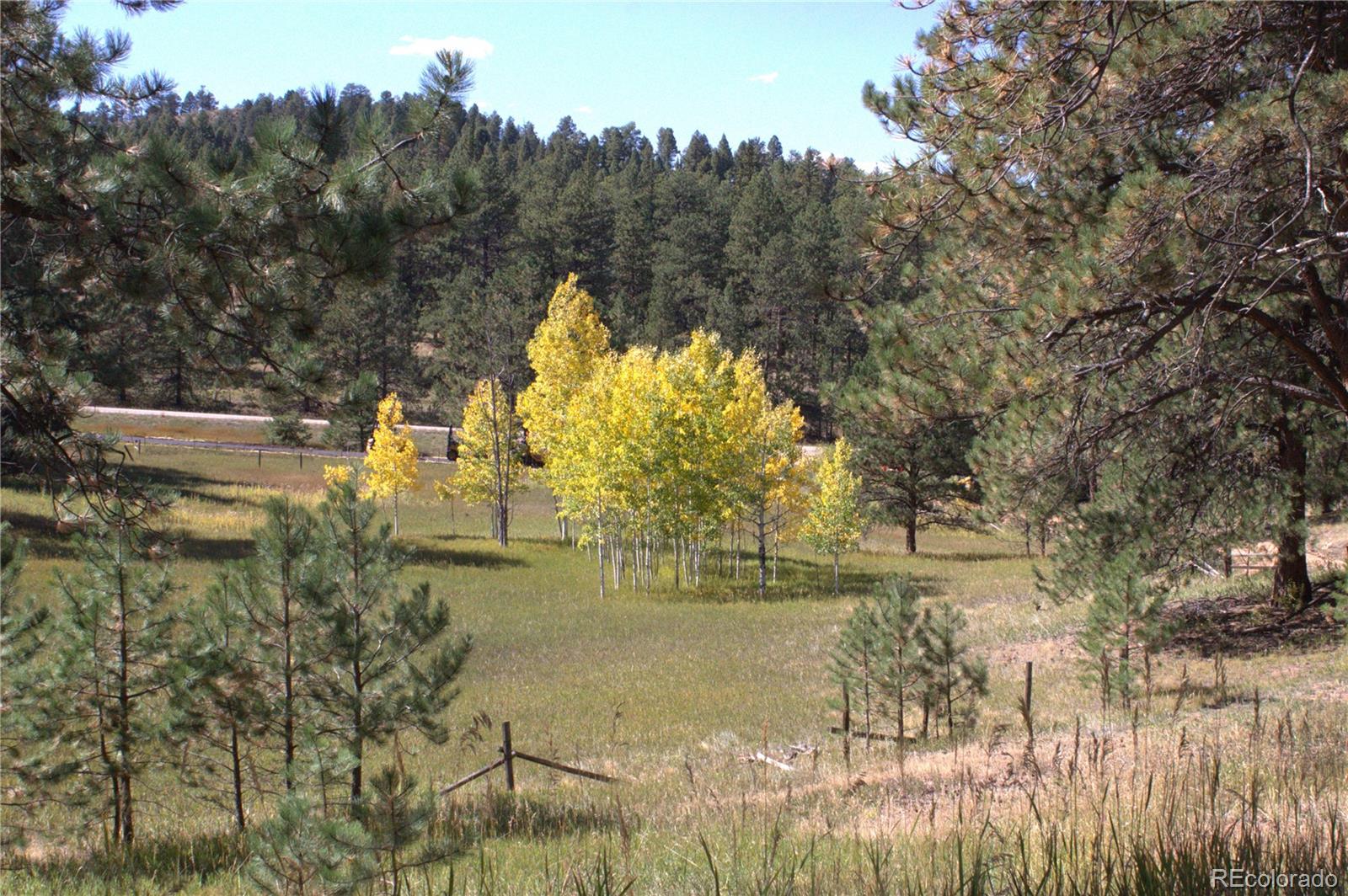 MLS Image #4 for 28400  state highway 67 ,woodland park, Colorado