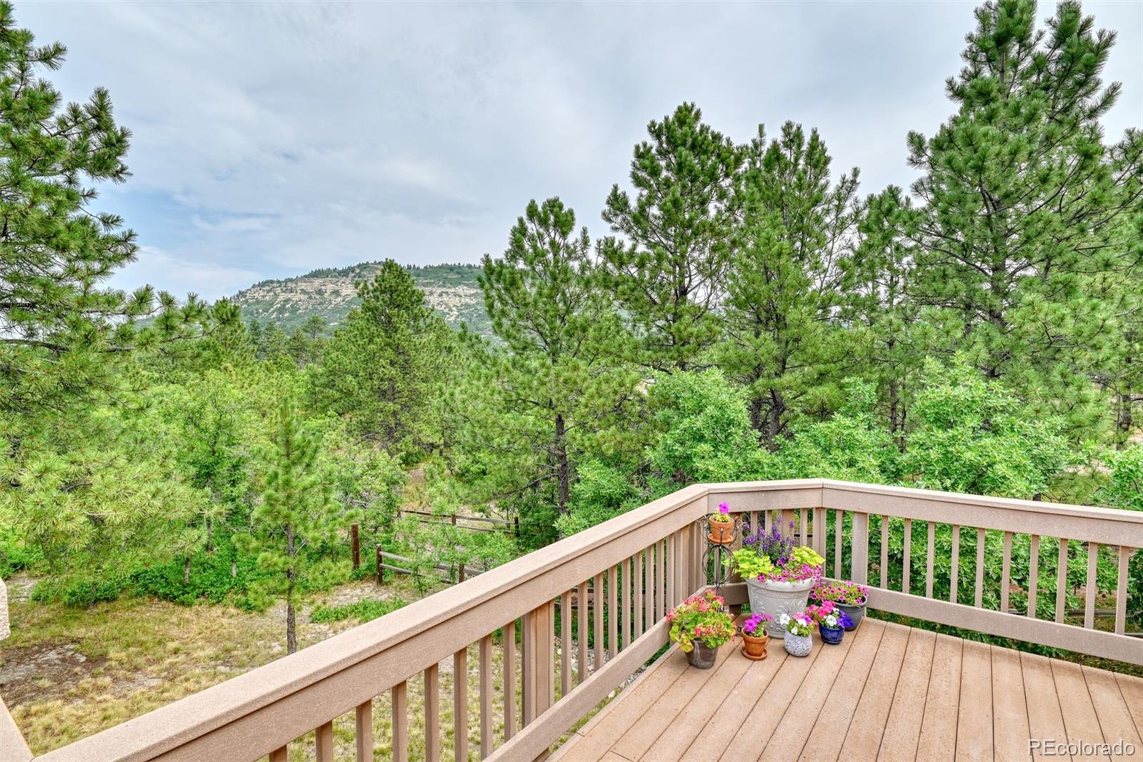 MLS Image #35 for 20448  bald mountain court,monument, Colorado