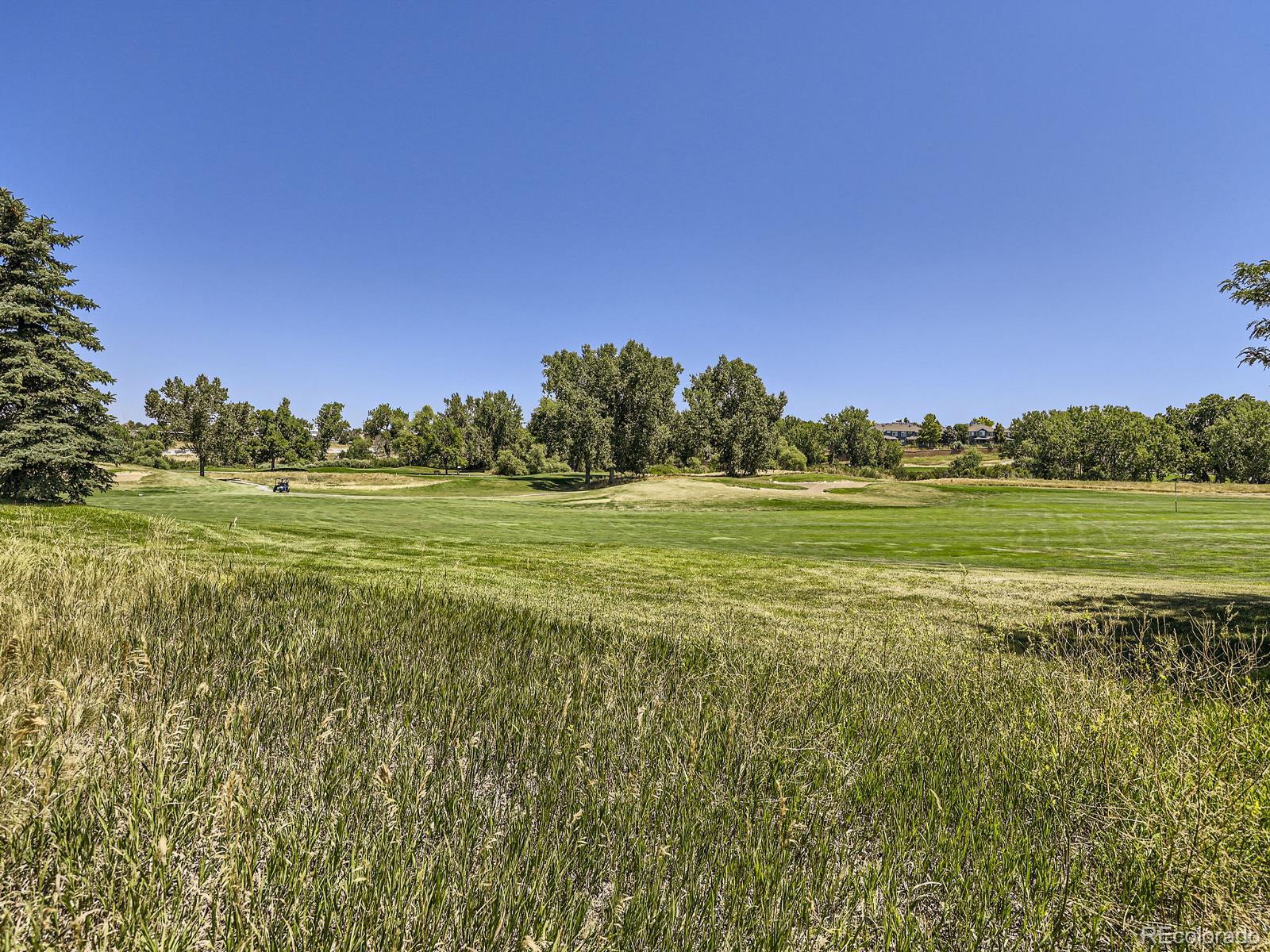 MLS Image #27 for 5  skye lane,highlands ranch, Colorado