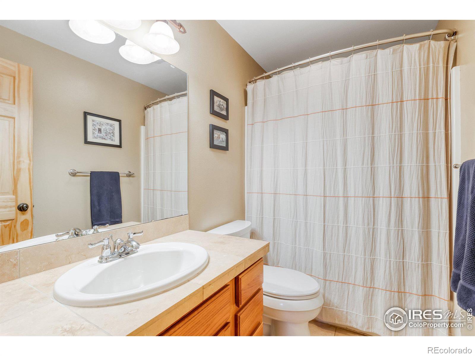 MLS Image #25 for 137  alpine drive,nederland, Colorado