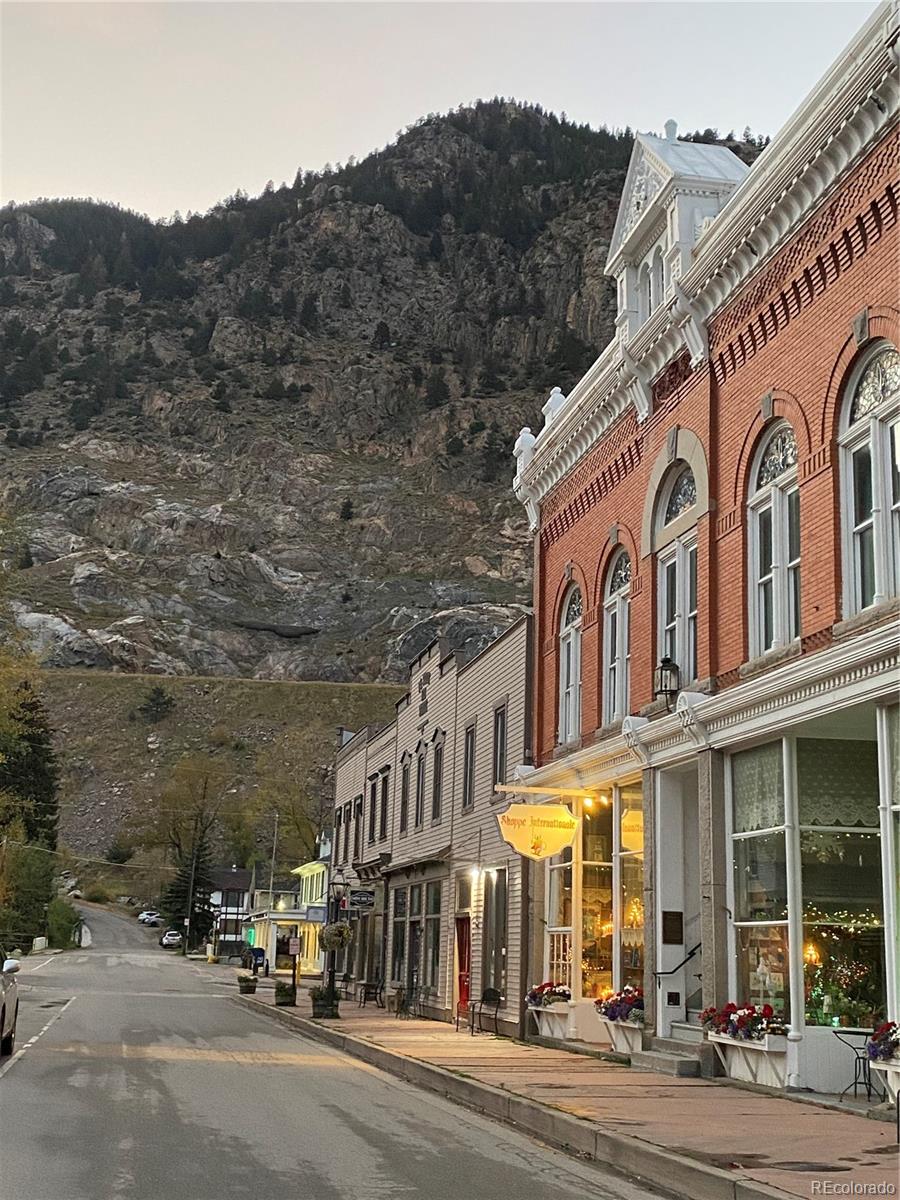 MLS Image #29 for 1890  argentine street,georgetown, Colorado