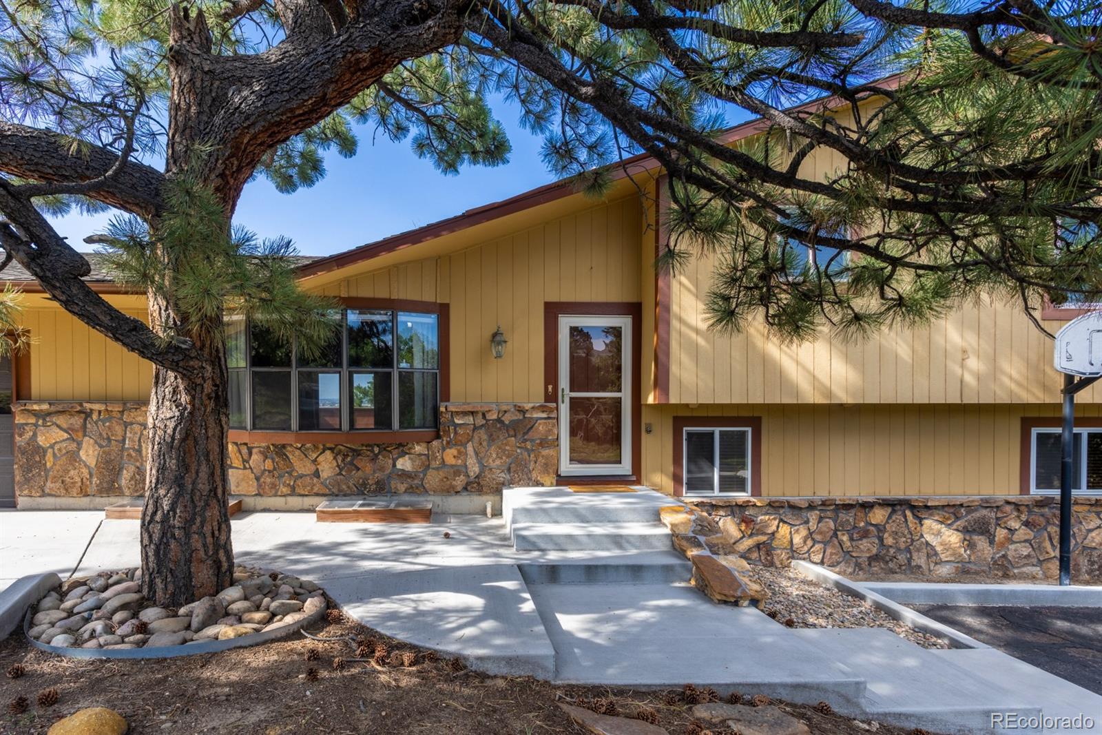 MLS Image #5 for 6178  applewood ridge circle,colorado springs, Colorado