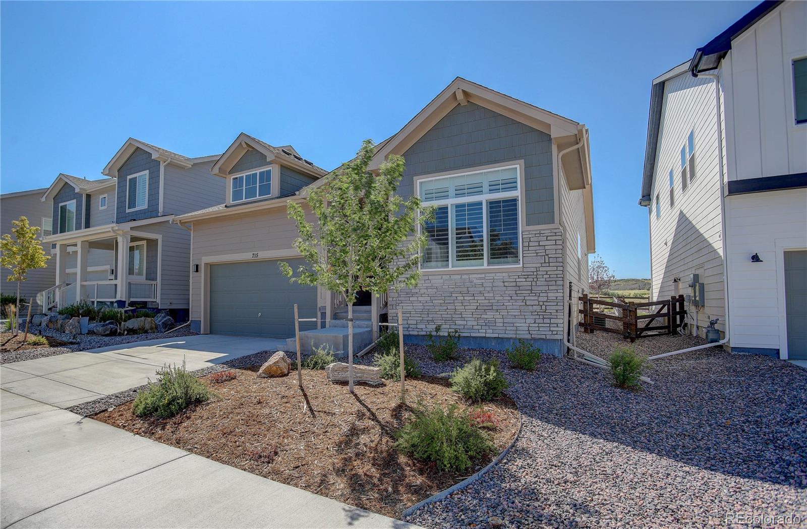 MLS Image #4 for 715  simmental loop,castle rock, Colorado