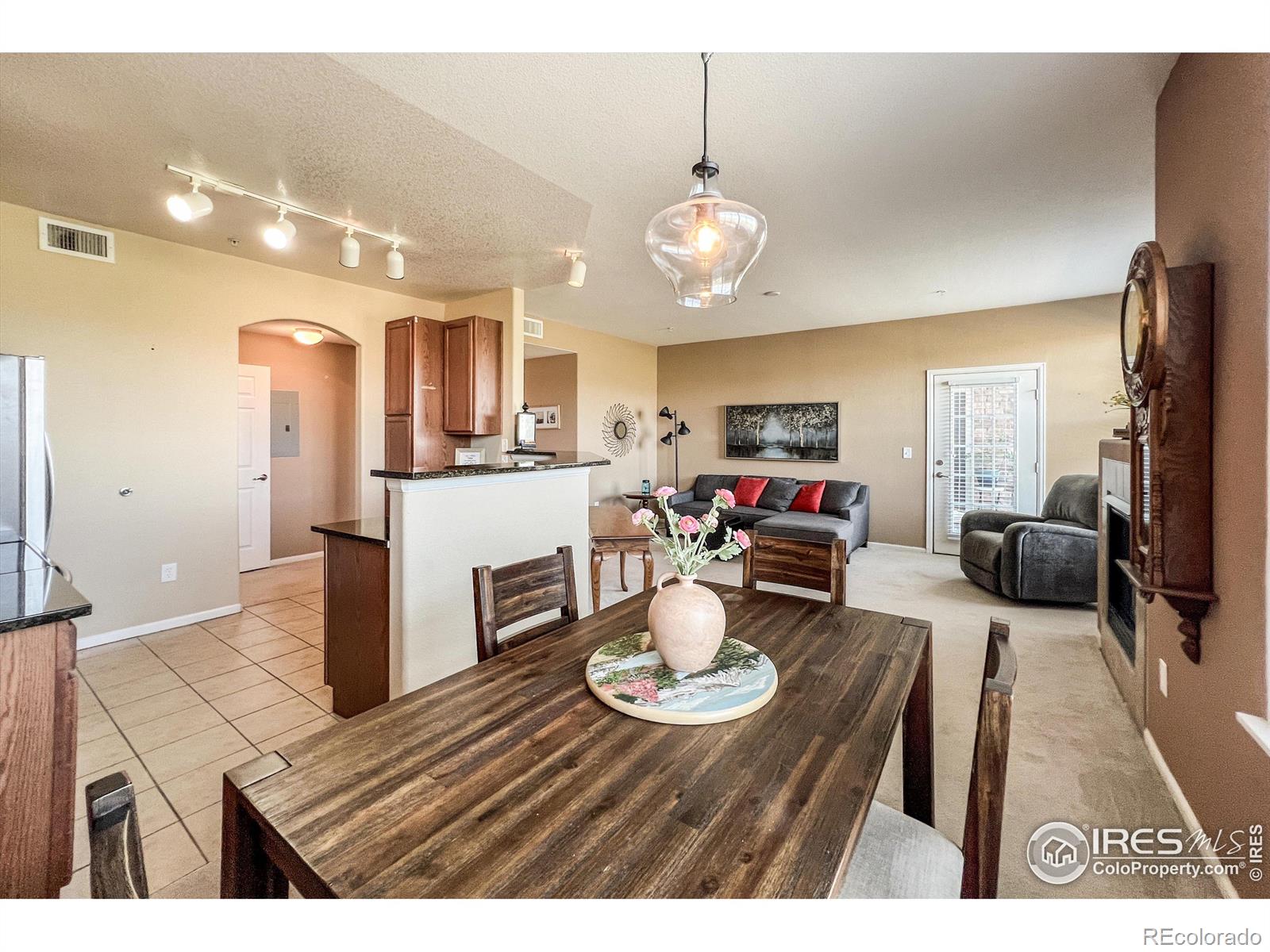 MLS Image #8 for 3095  blue sky circle,erie, Colorado