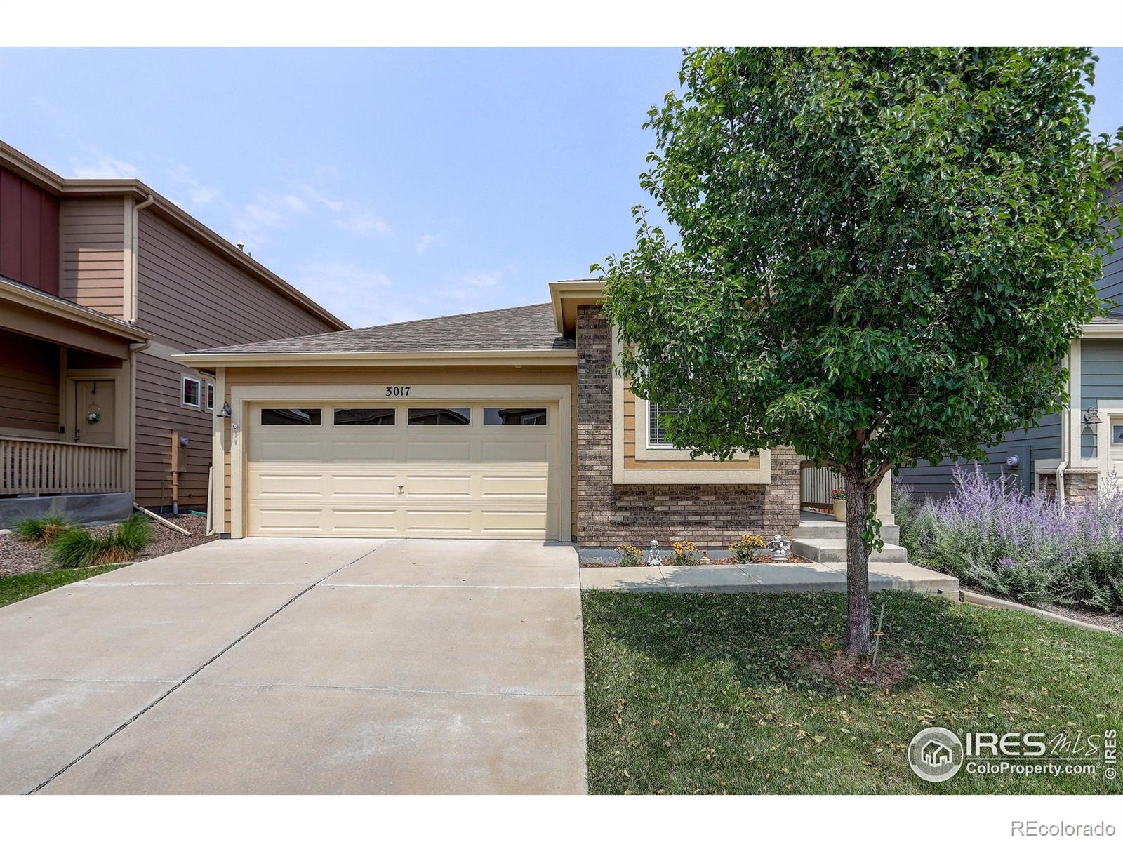 CMA Image for 4546  stump avenue,Loveland, Colorado