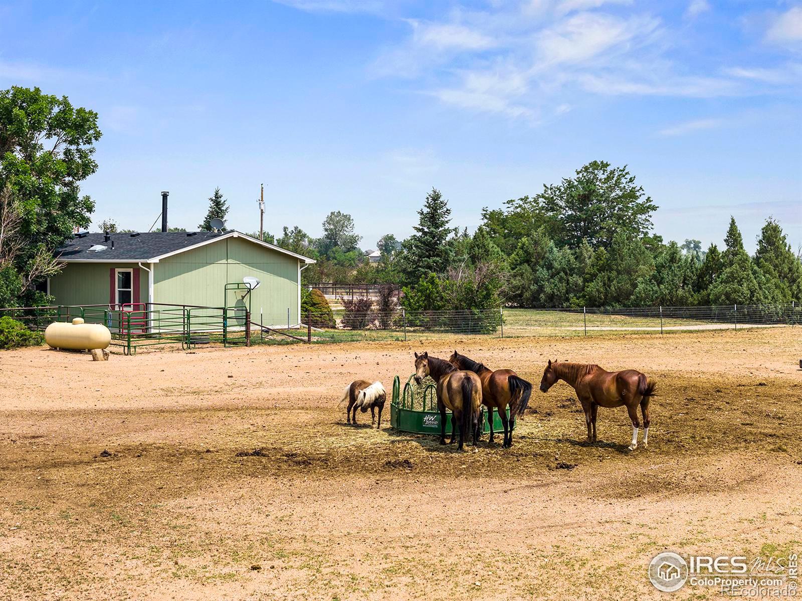 MLS Image #28 for 12933  appaloosa avenue,wellington, Colorado