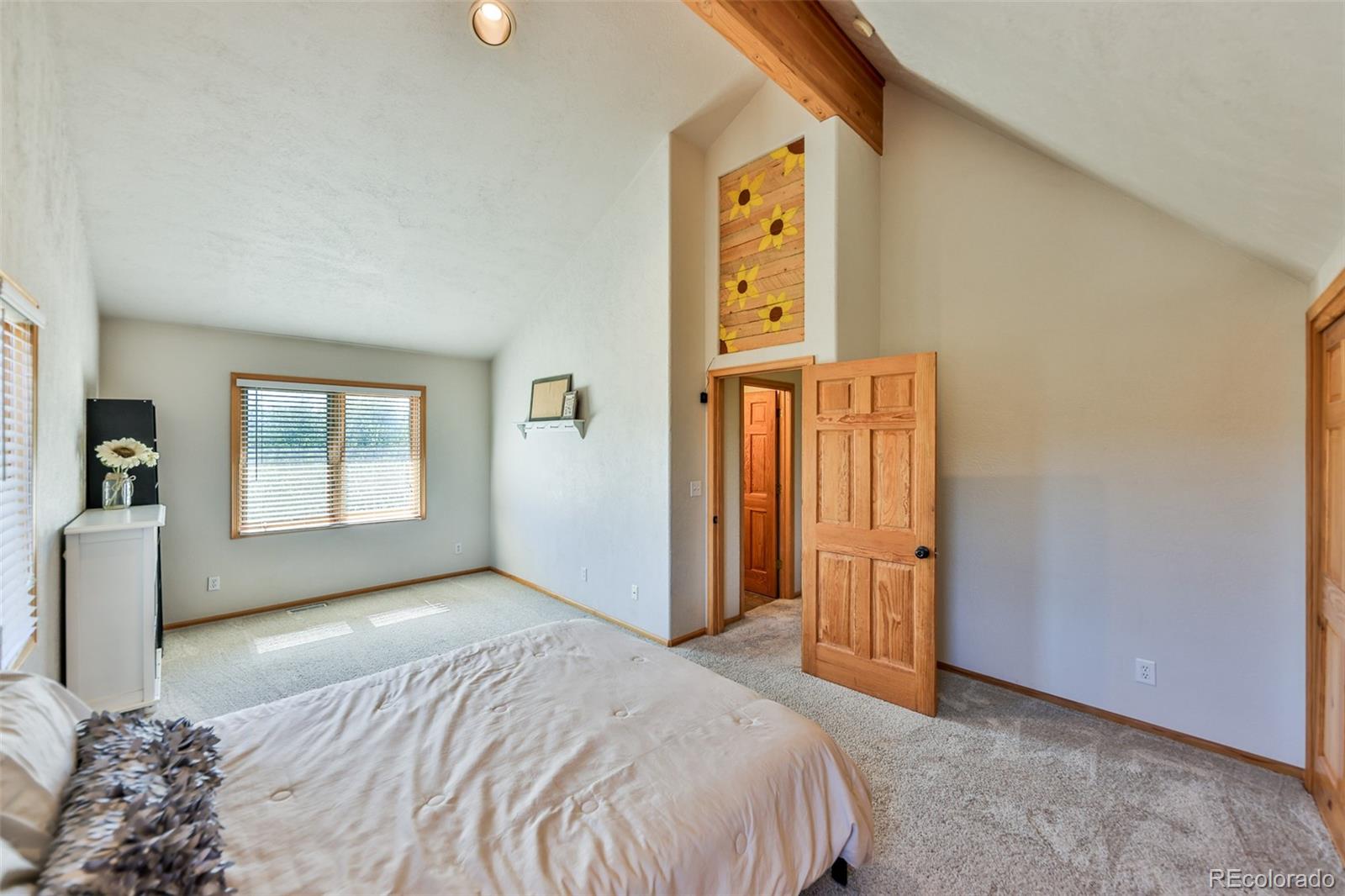 MLS Image #29 for 163  gcr 521 ,tabernash, Colorado