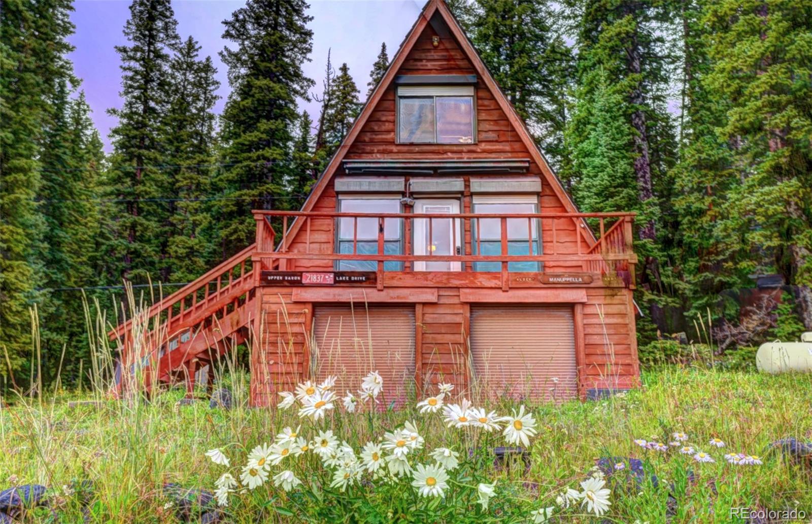 MLS Image #0 for 21837  upper baron lake drive,cedaredge, Colorado