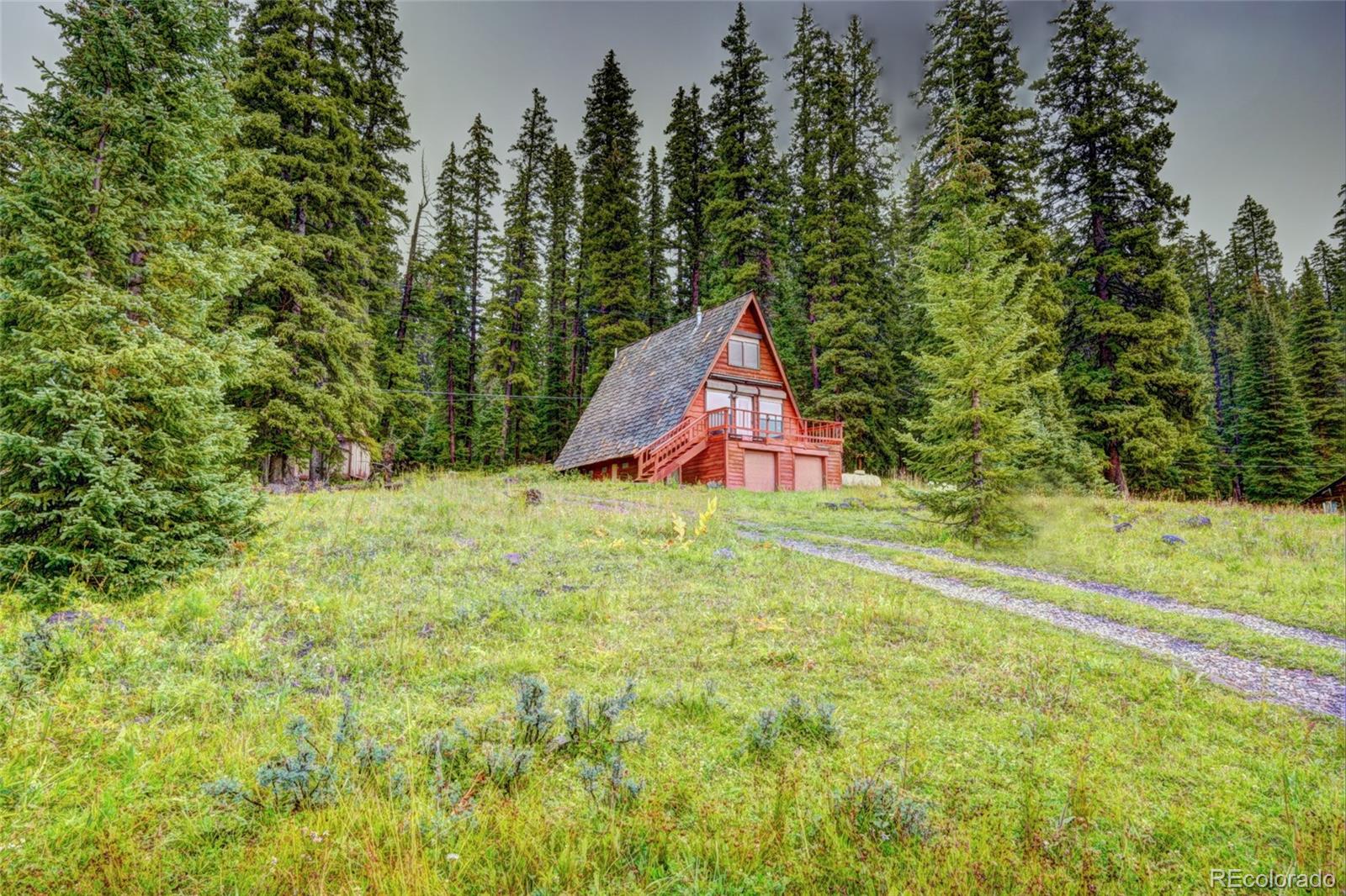 MLS Image #16 for 21837  upper baron lake drive,cedaredge, Colorado