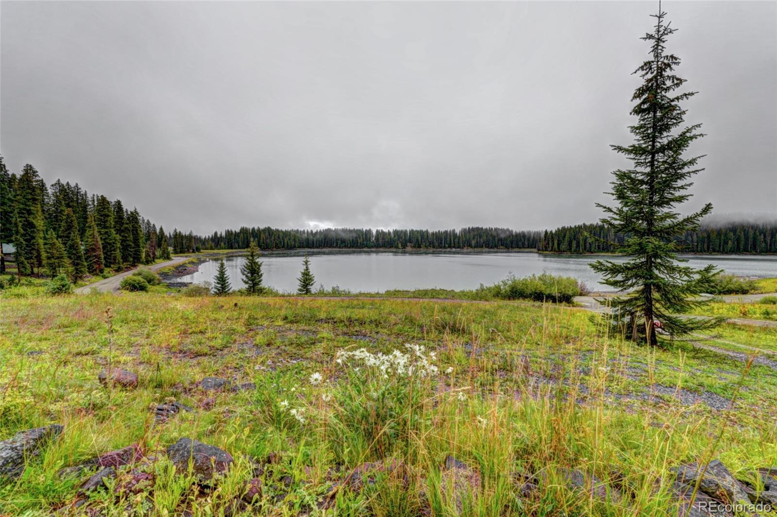 MLS Image #18 for 21837  upper baron lake drive,cedaredge, Colorado