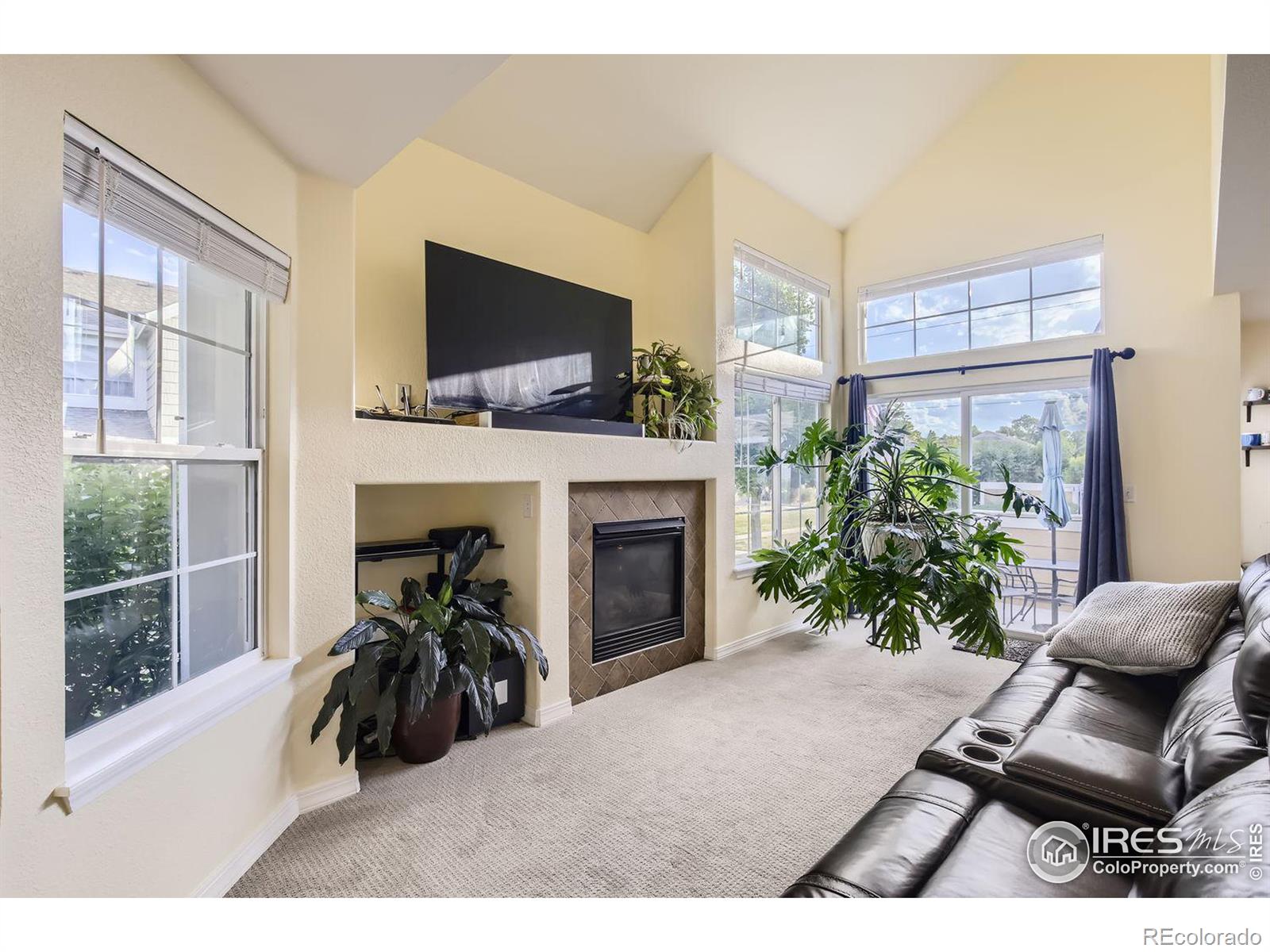 MLS Image #5 for 805  summer hawk drive,longmont, Colorado