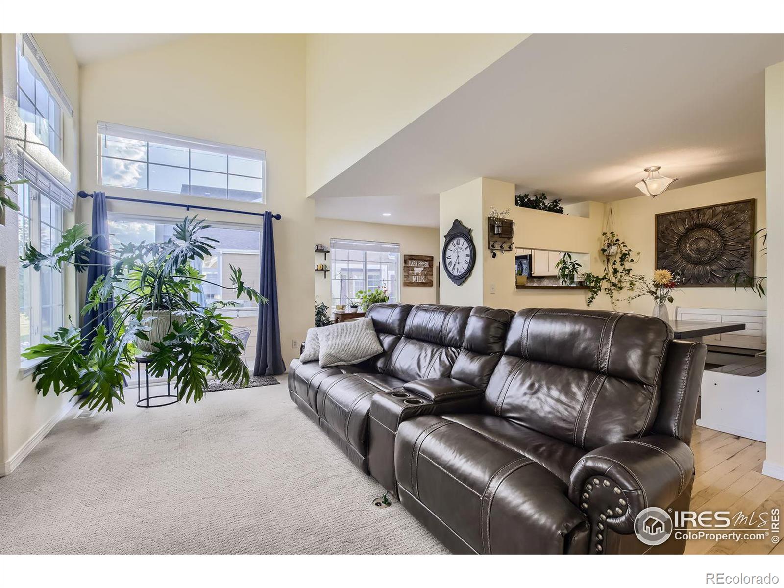 MLS Image #6 for 805  summer hawk drive,longmont, Colorado