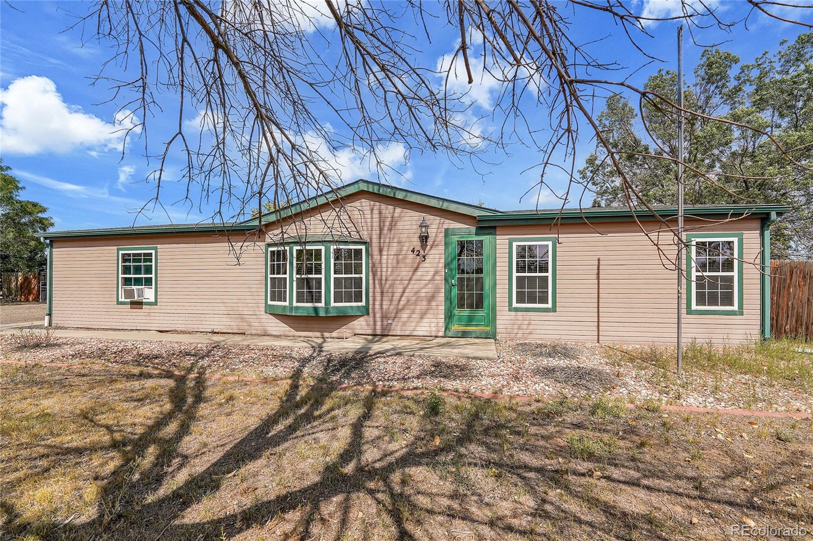 MLS Image #0 for 423  zante way,lochbuie, Colorado