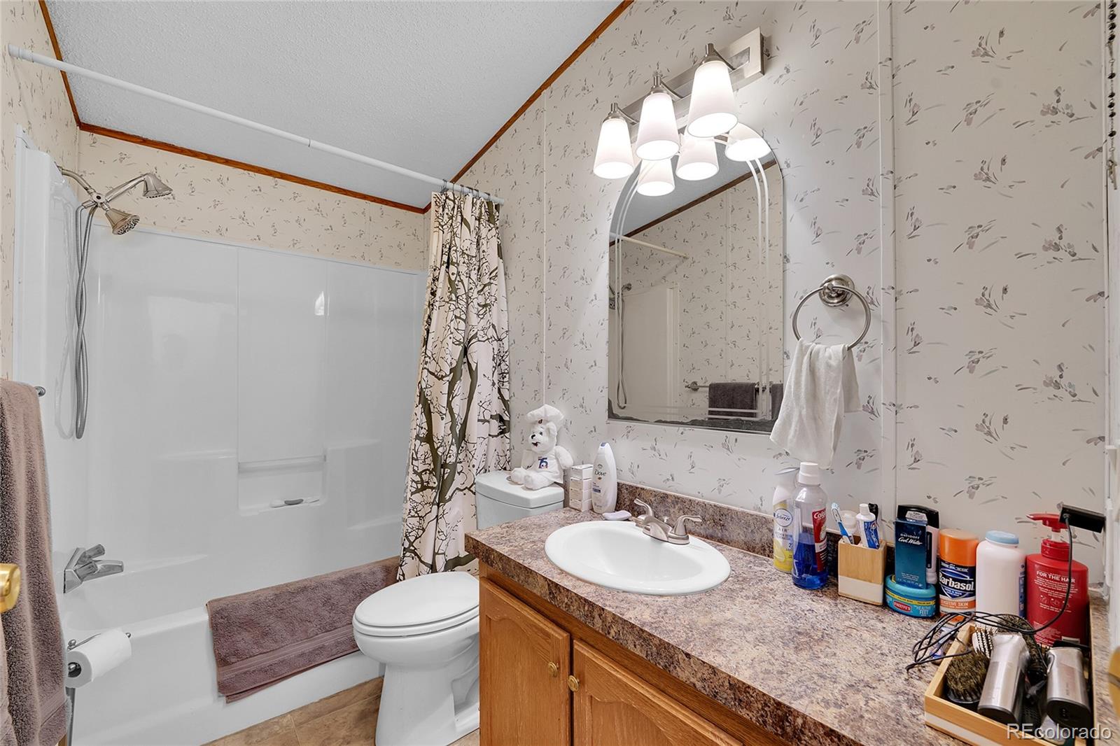 MLS Image #17 for 423  zante way,lochbuie, Colorado