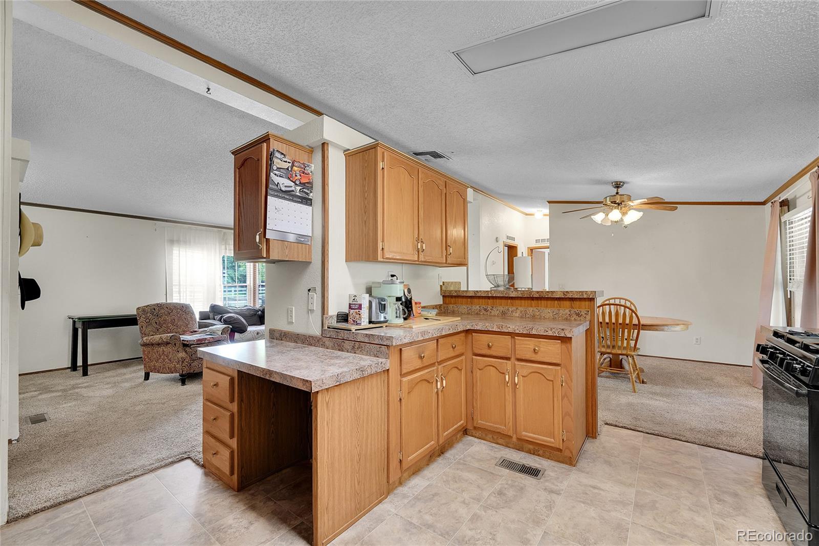 MLS Image #9 for 423  zante way,lochbuie, Colorado