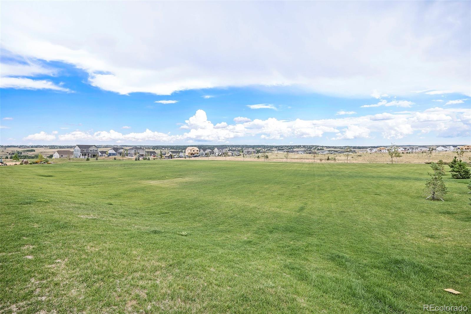 MLS Image #33 for 14049  mock orange court,parker, Colorado