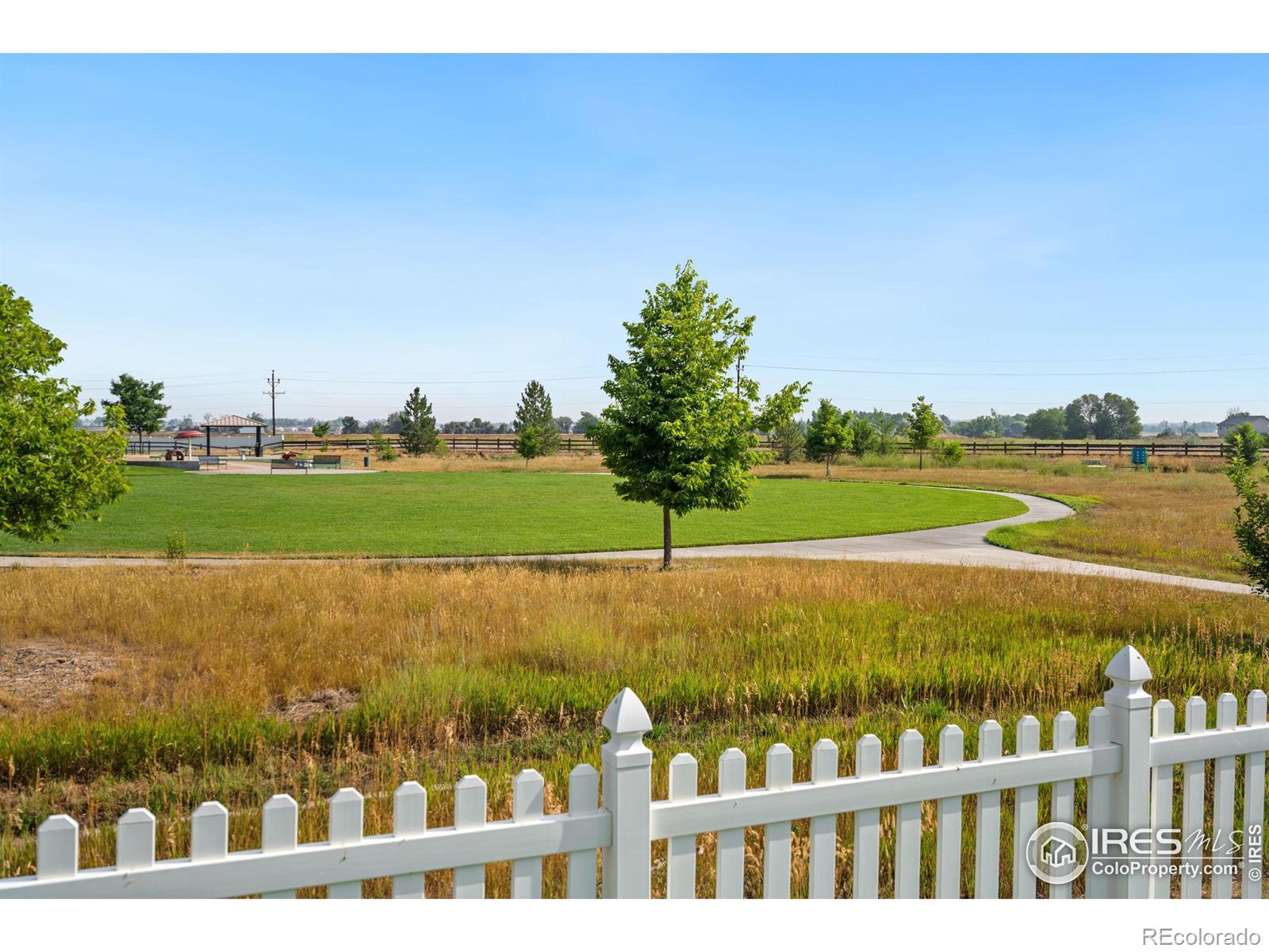 MLS Image #26 for 1009  canal drive,windsor, Colorado