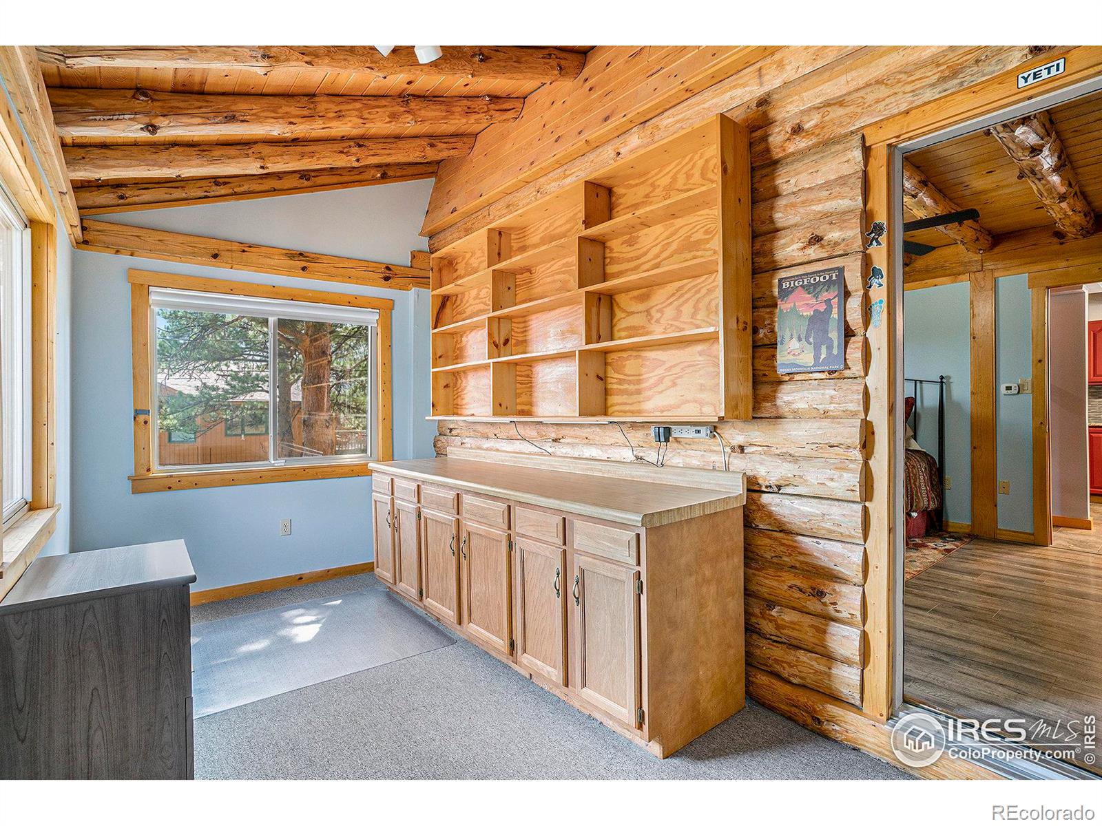 MLS Image #12 for 1301  broadview road,estes park, Colorado