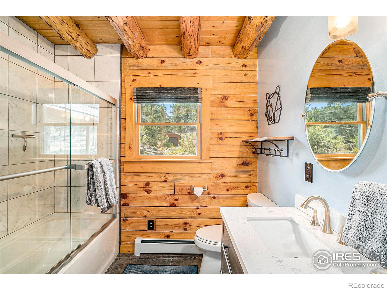 MLS Image #14 for 1301  broadview road,estes park, Colorado