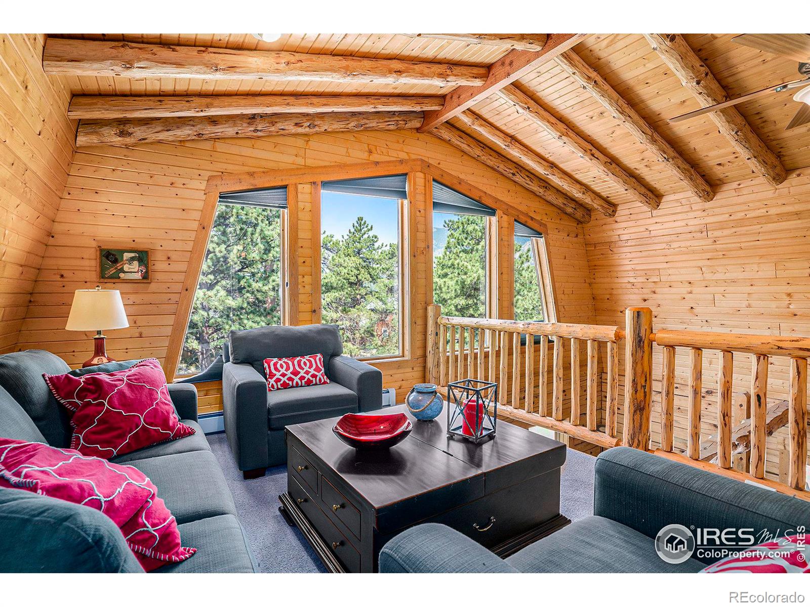 MLS Image #15 for 1301  broadview road,estes park, Colorado