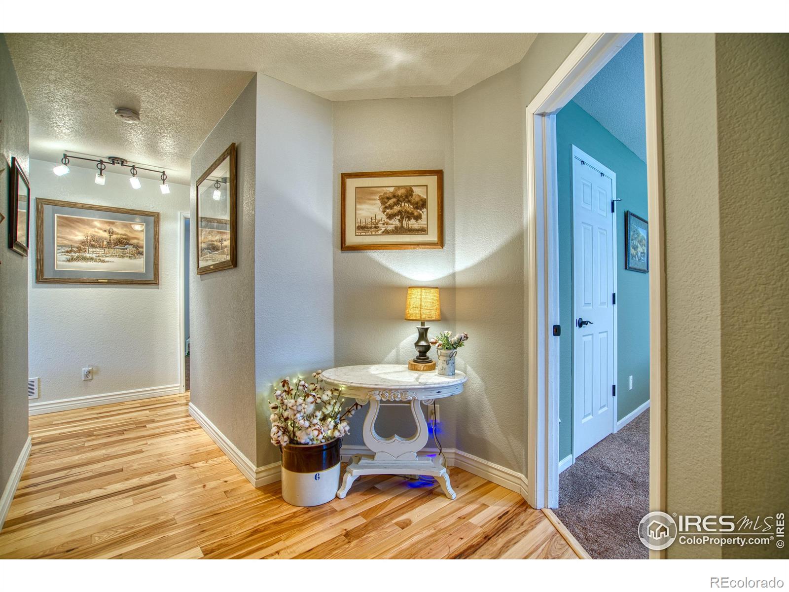 CMA Image for 3101  alybar drive,Wellington, Colorado