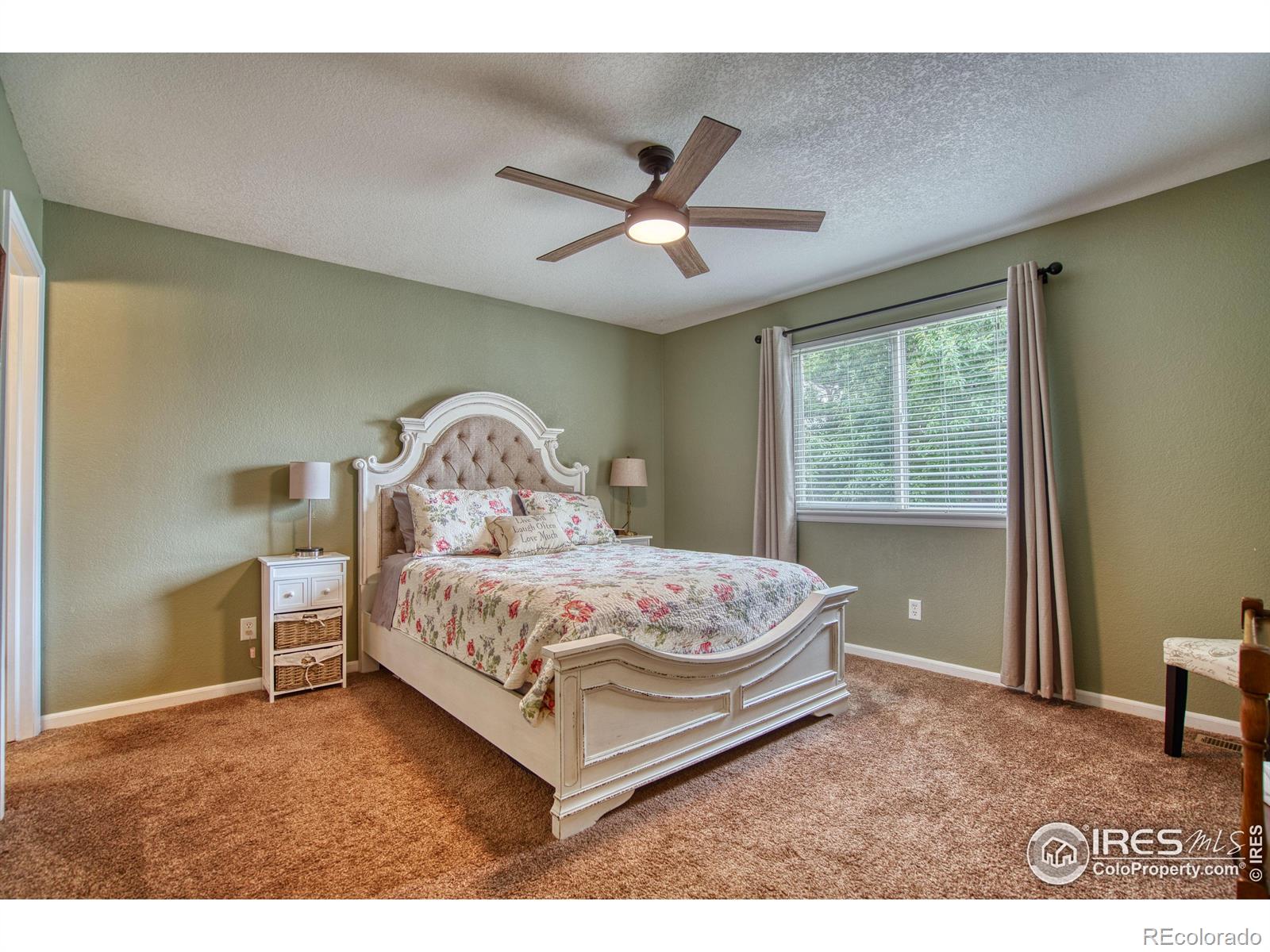 MLS Image #11 for 7073  mount nimbus street,wellington, Colorado