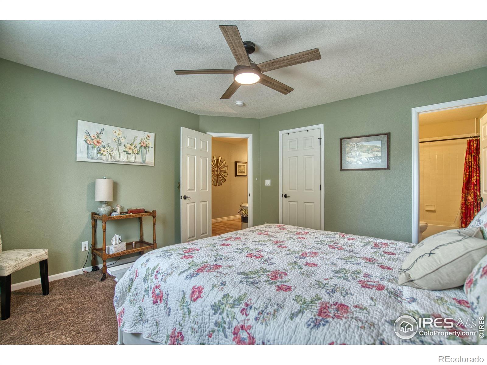 MLS Image #12 for 7073  mount nimbus street,wellington, Colorado