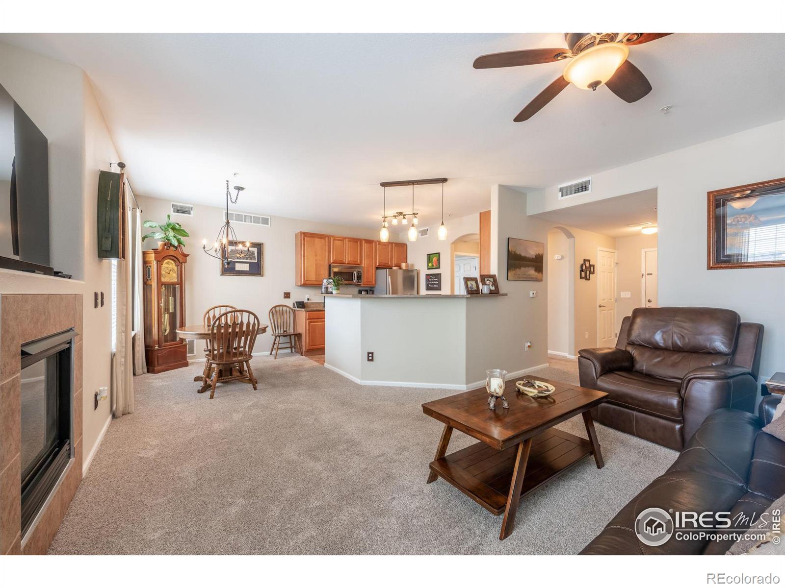 MLS Image #9 for 1495  blue sky way,erie, Colorado