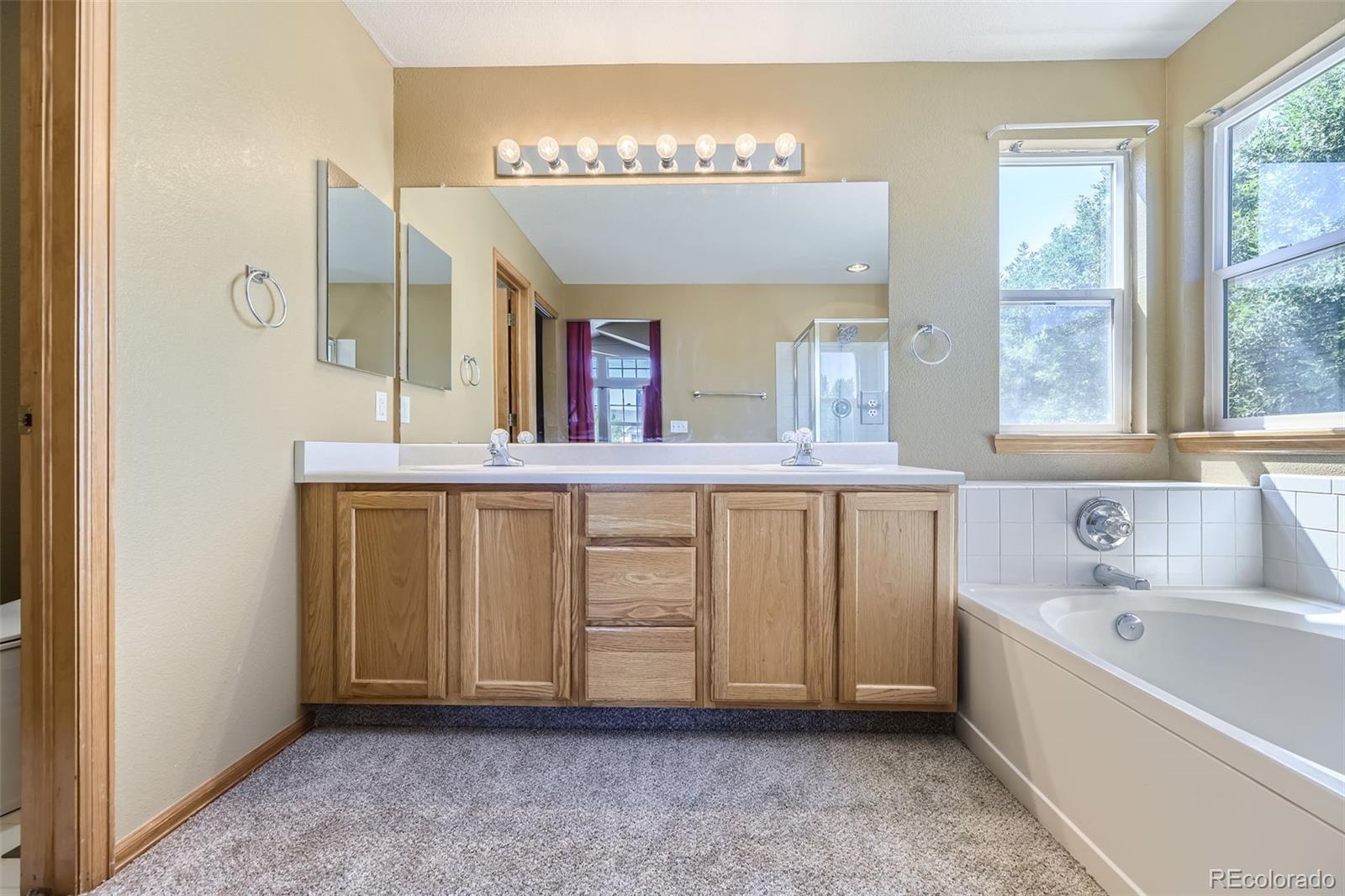 MLS Image #17 for 10926  flagler drive,parker, Colorado