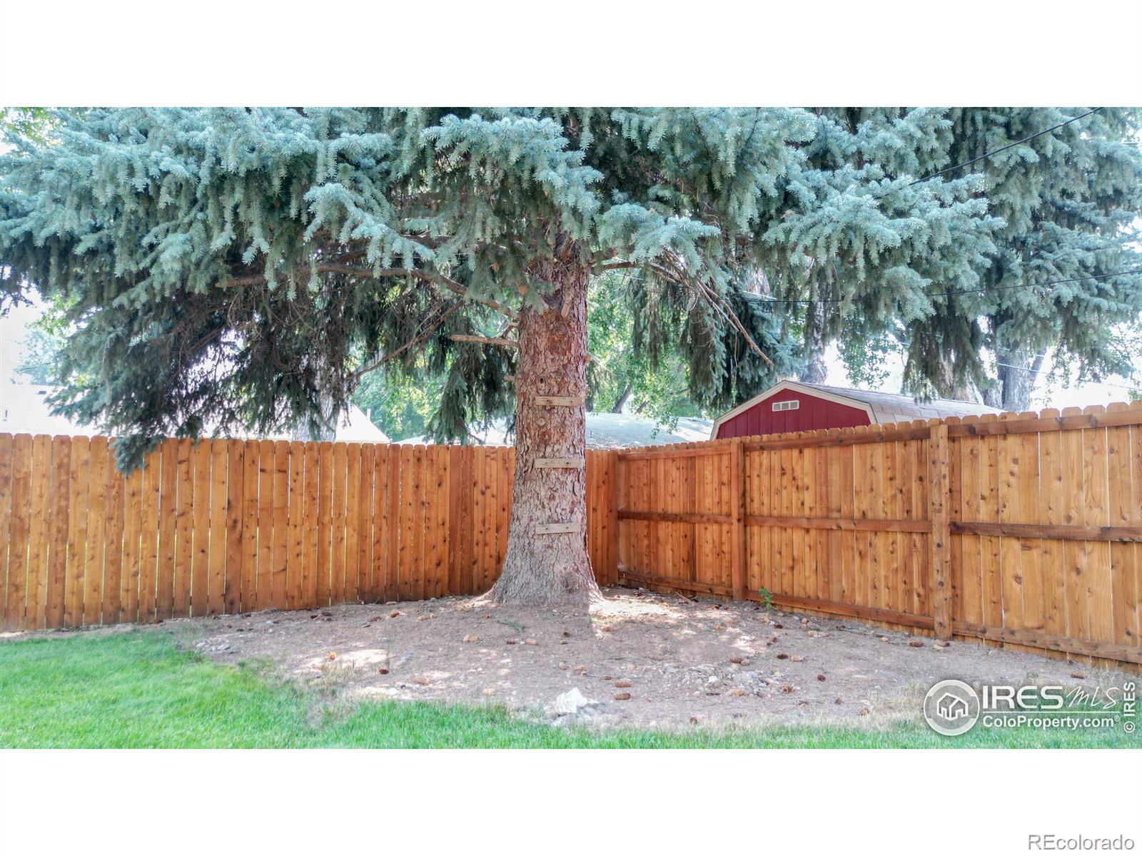 MLS Image #29 for 1014  hahn court,loveland, Colorado