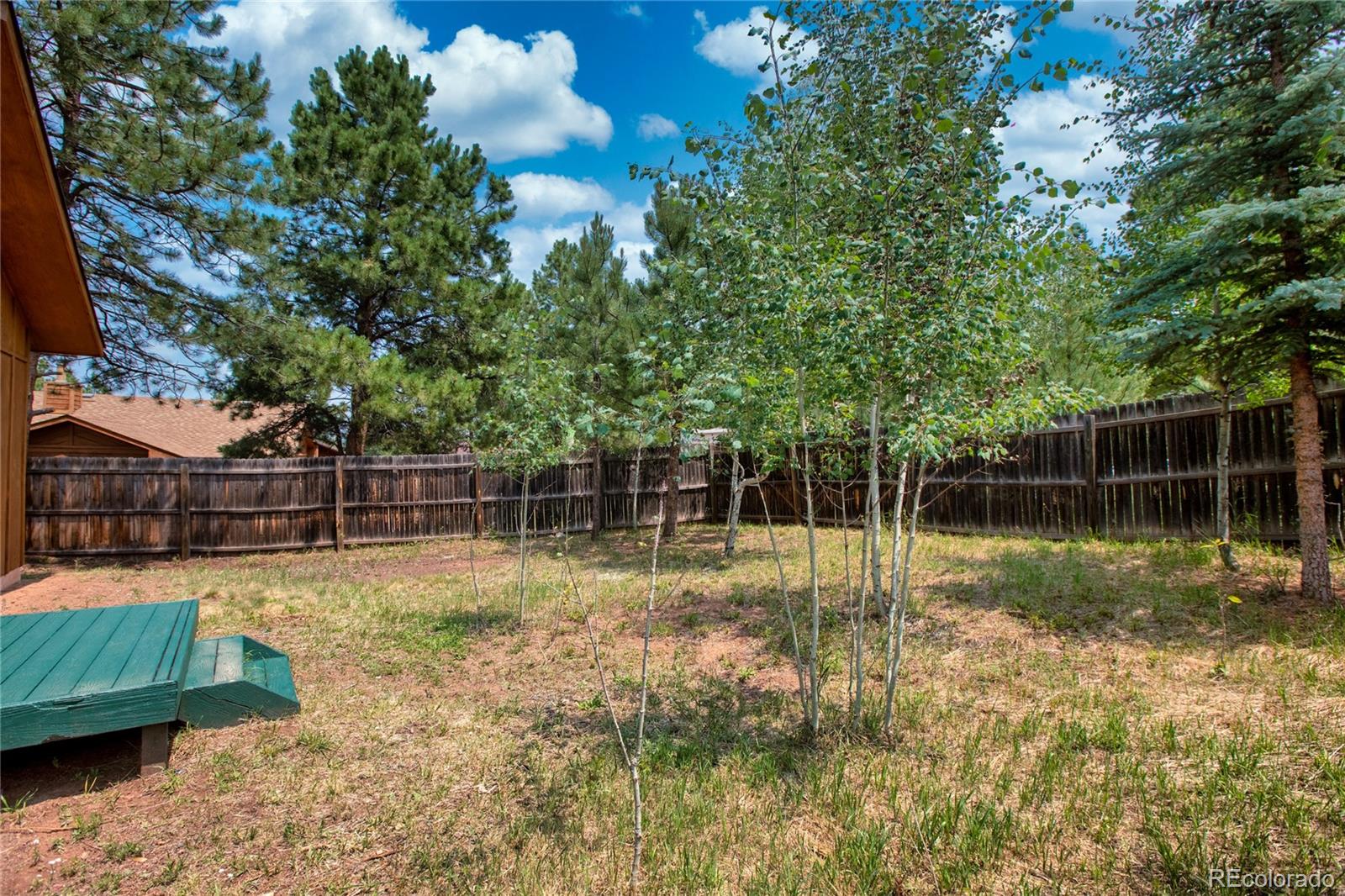 MLS Image #39 for 1400  northwoods drive,woodland park, Colorado