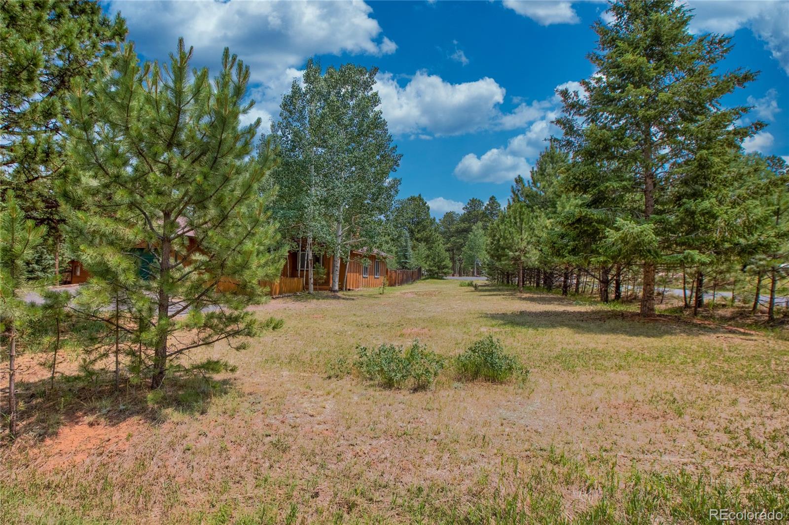 MLS Image #43 for 1400  northwoods drive,woodland park, Colorado