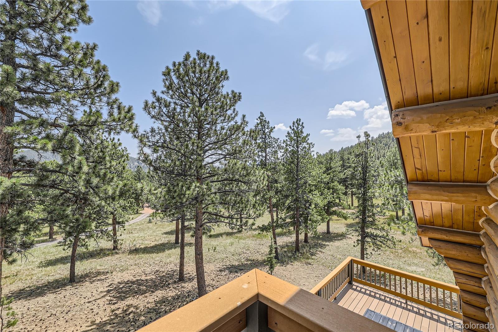 MLS Image #33 for 808  conestoga road,bailey, Colorado