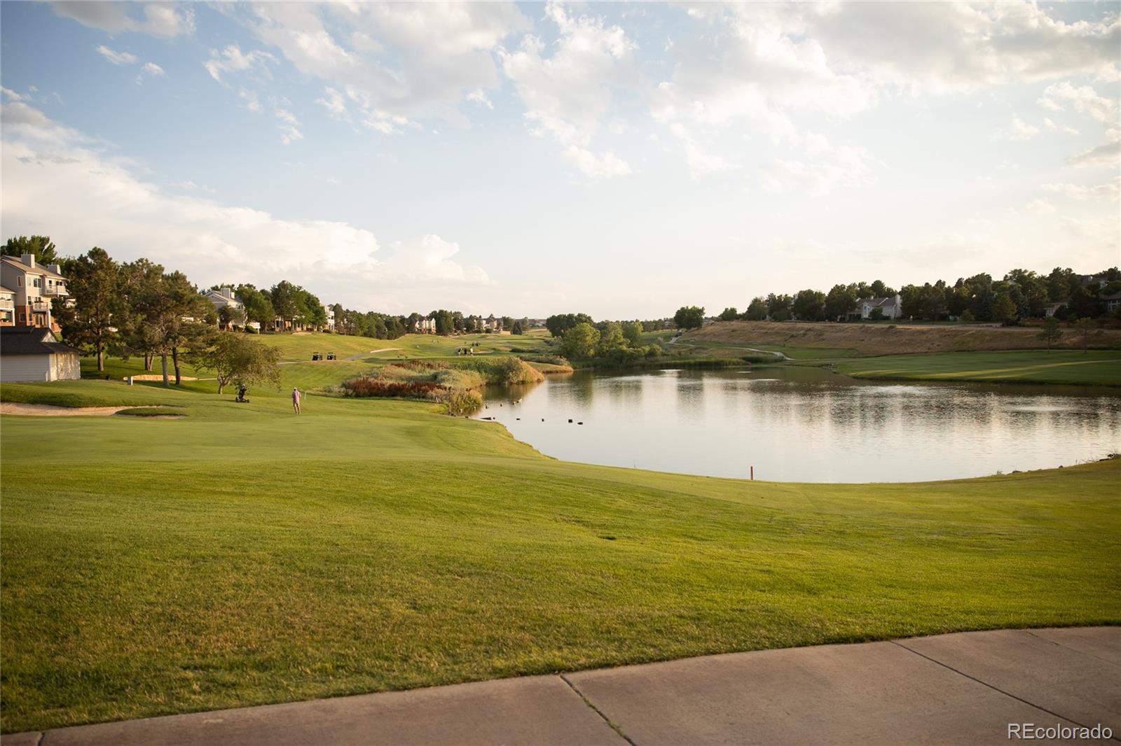 MLS Image #28 for 9553 e hidden hill lane,lone tree, Colorado