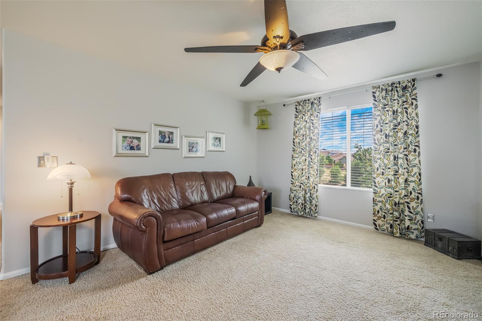 MLS Image #21 for 1743  silver meadow circle,colorado springs, Colorado