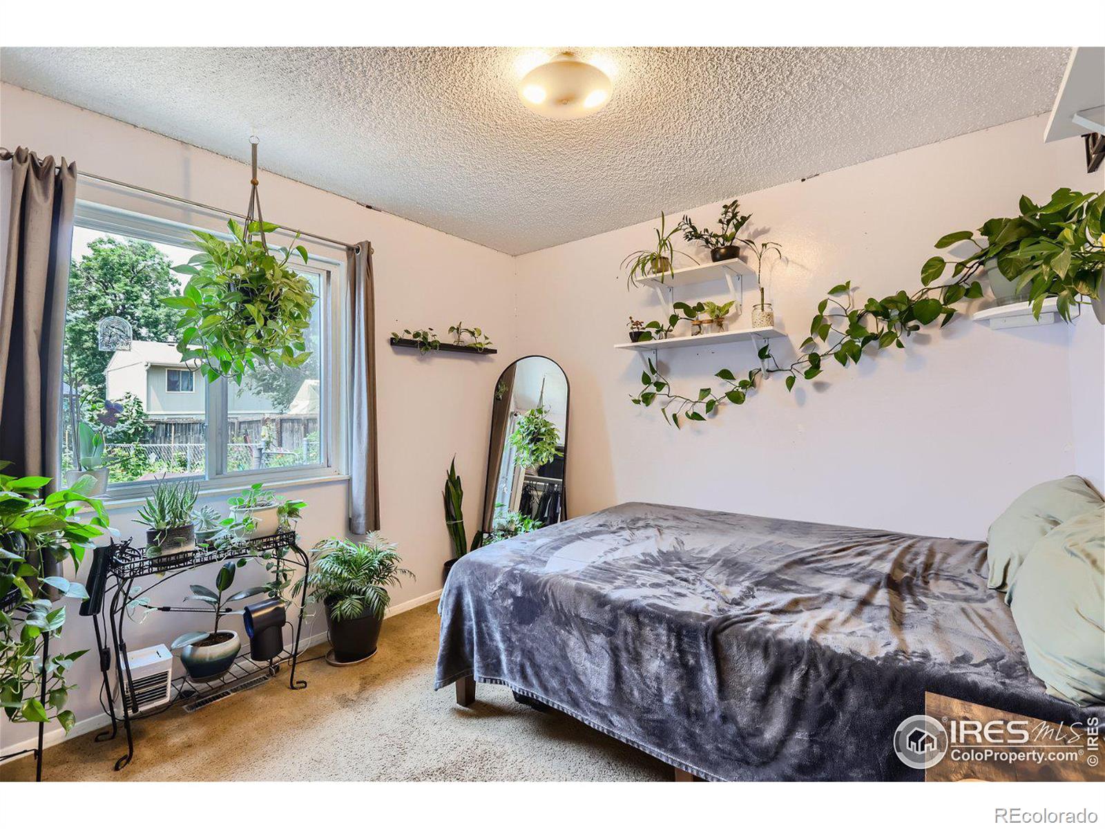 MLS Image #11 for 3611  marigold street,evans, Colorado