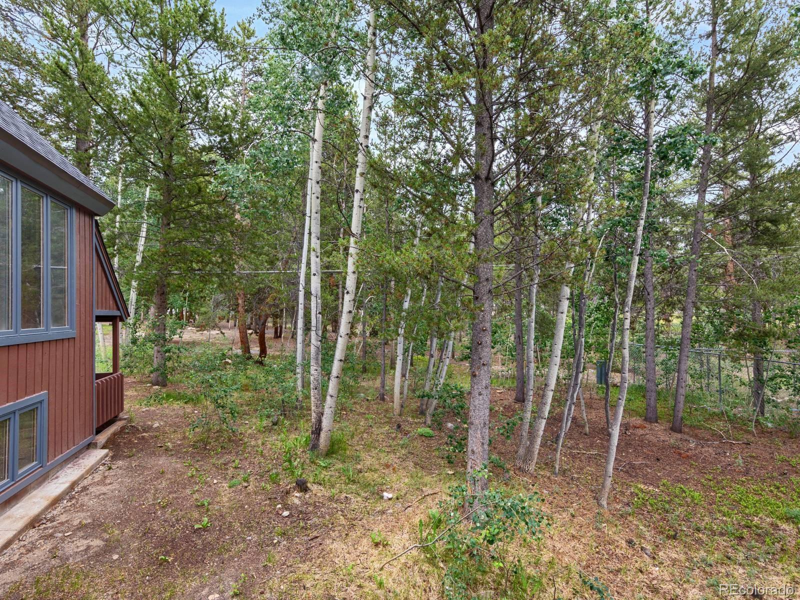 MLS Image #32 for 1280  mountain view drive,leadville, Colorado